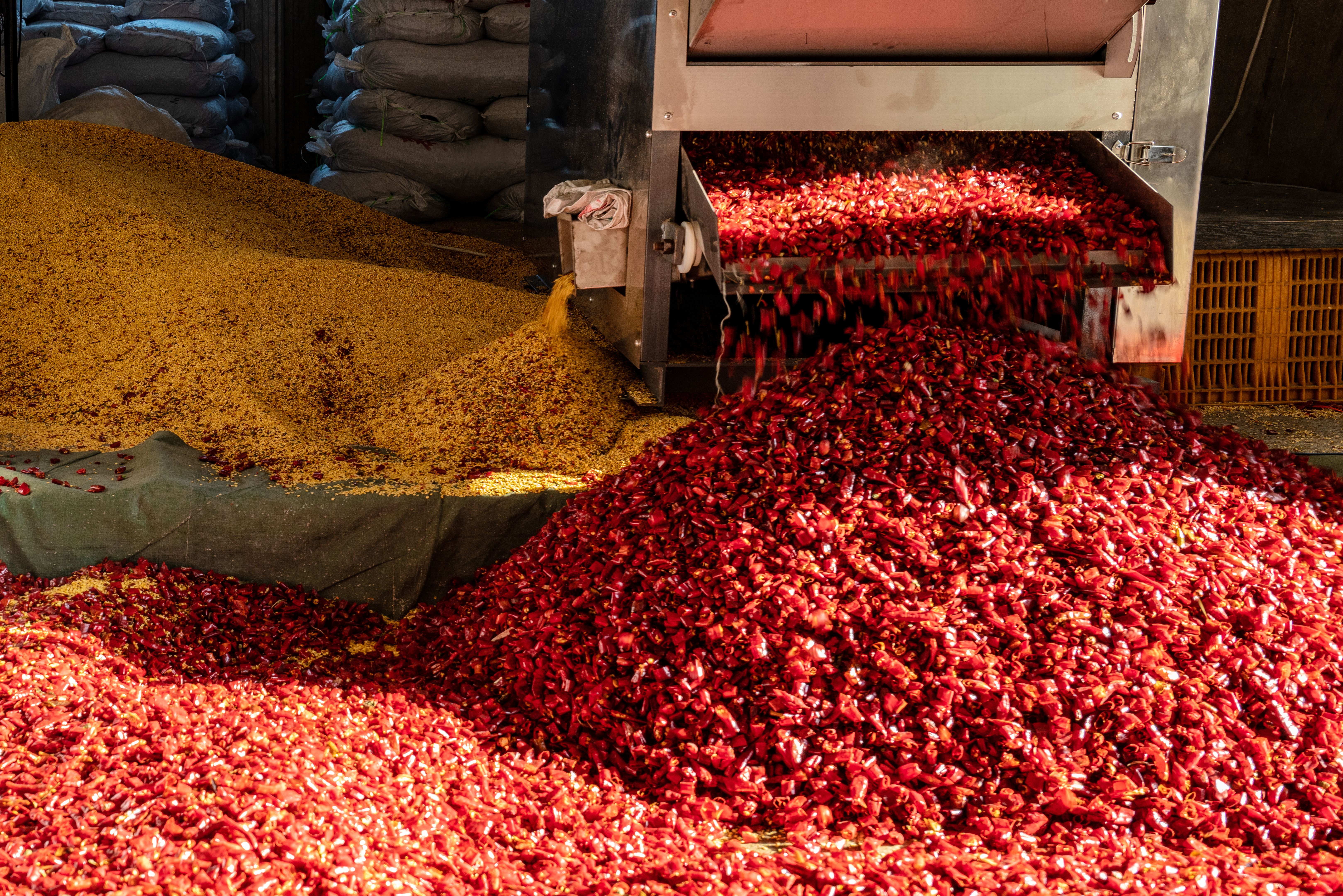 spice processing