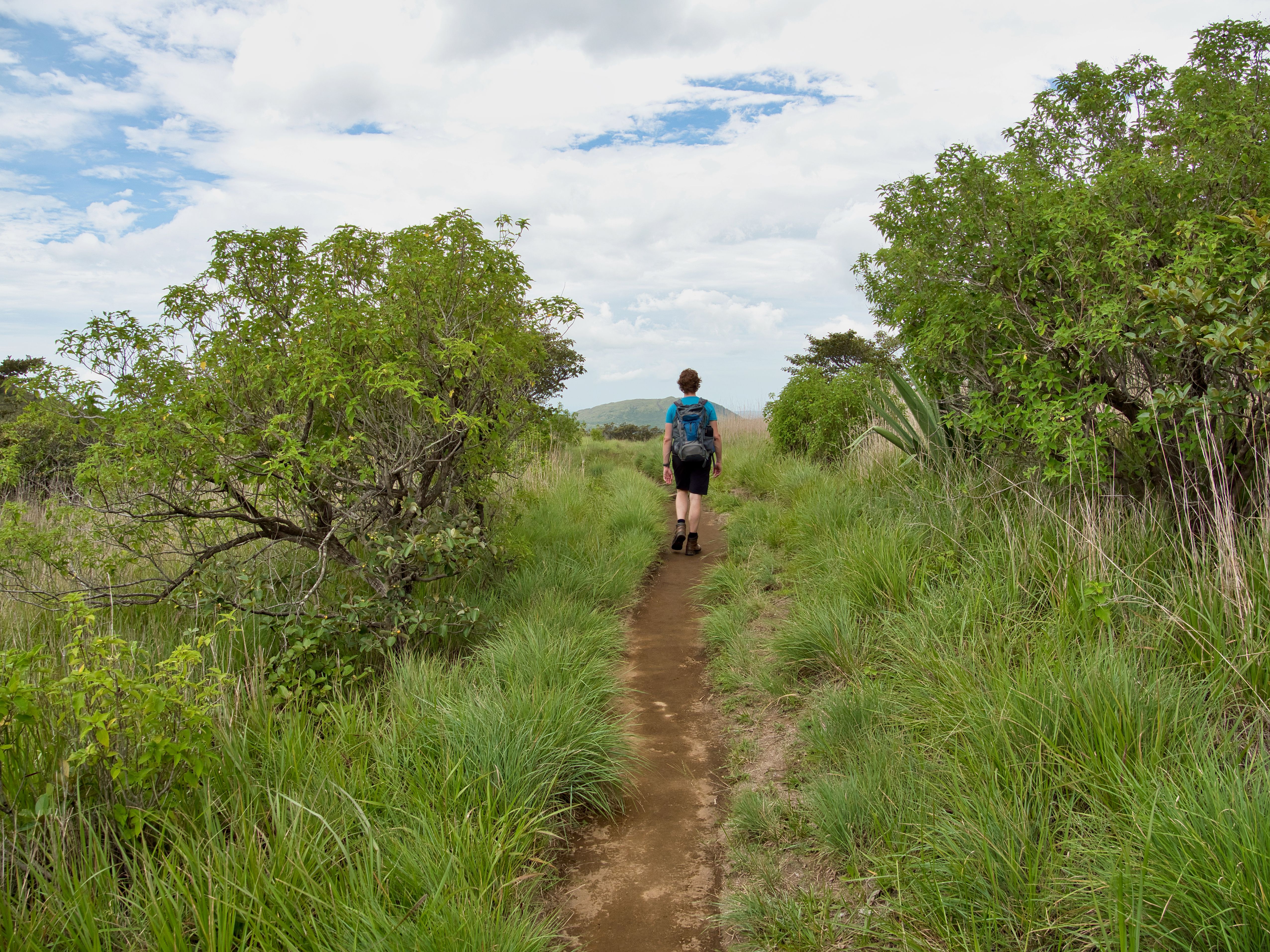 rainy season guanacaste