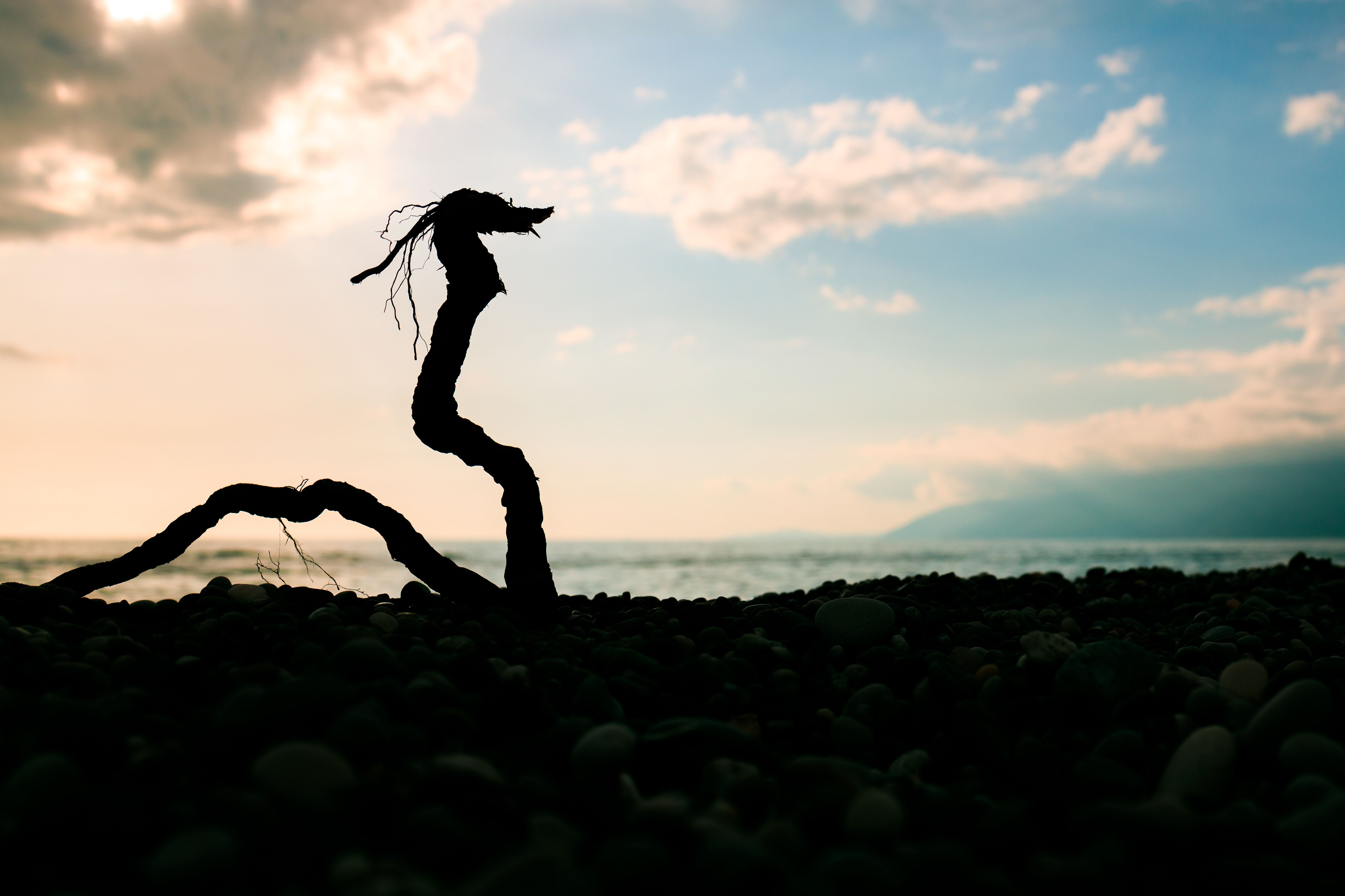 martial arts comparison