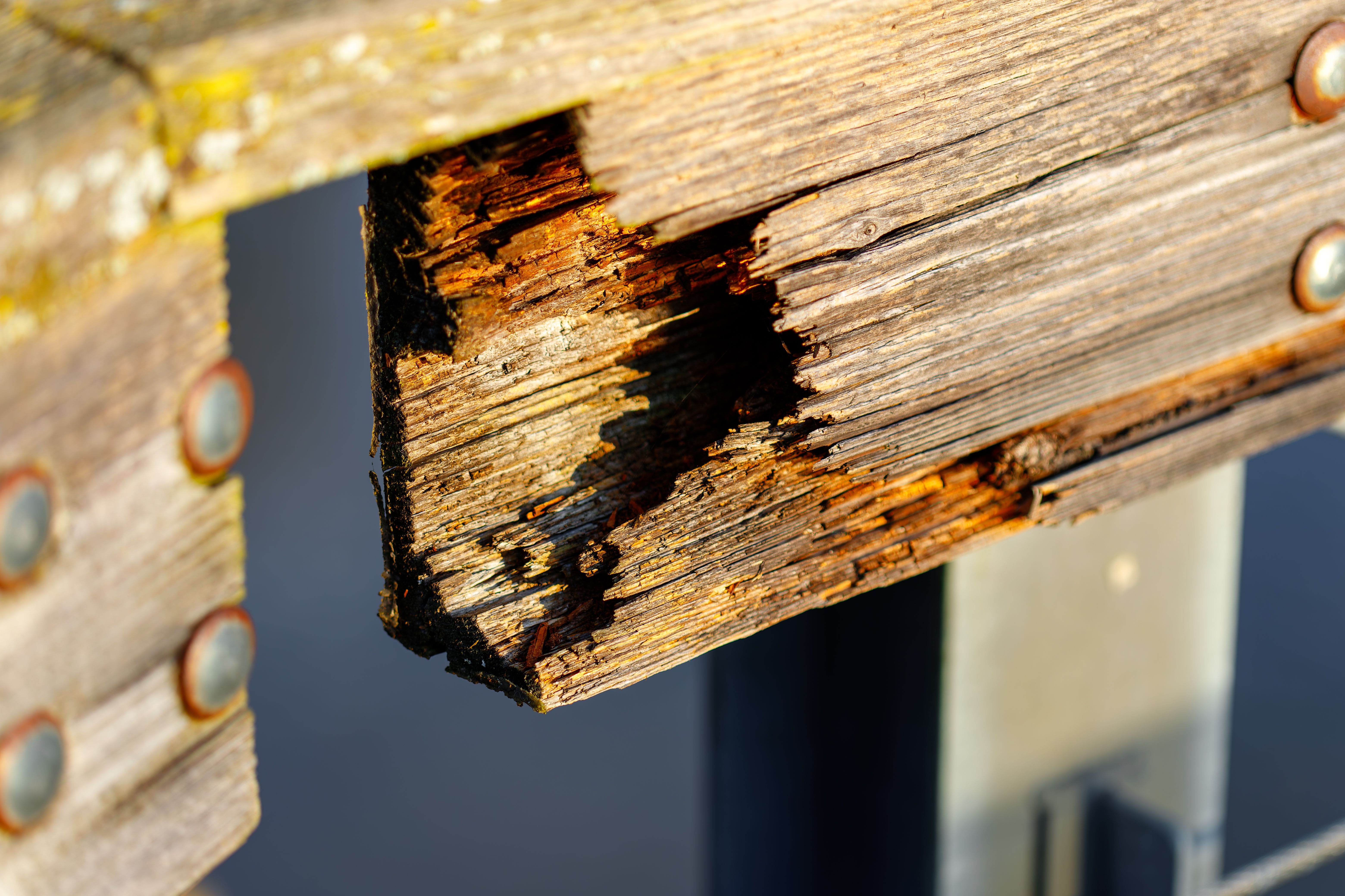 remove rot wood