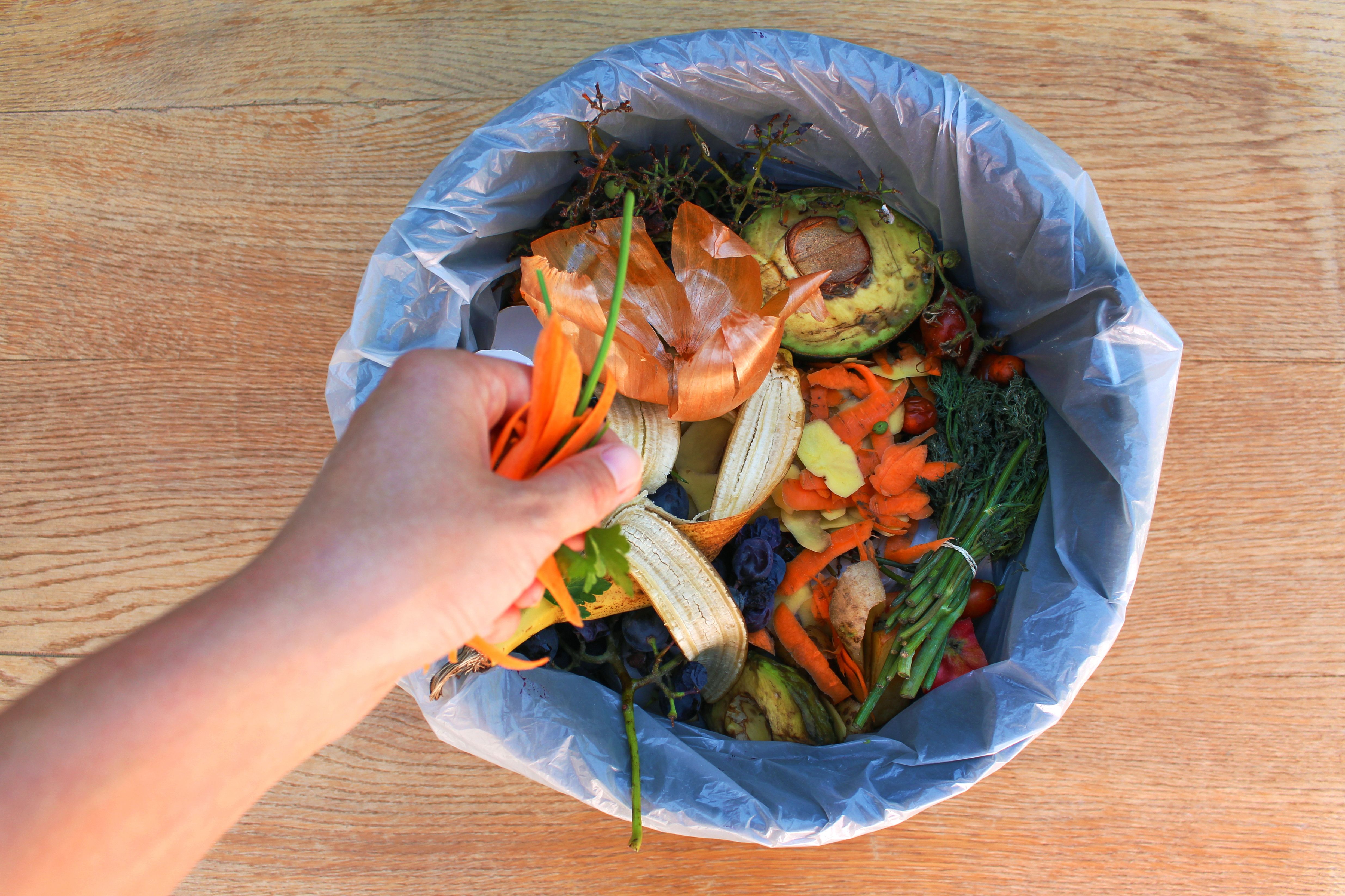 compost waste