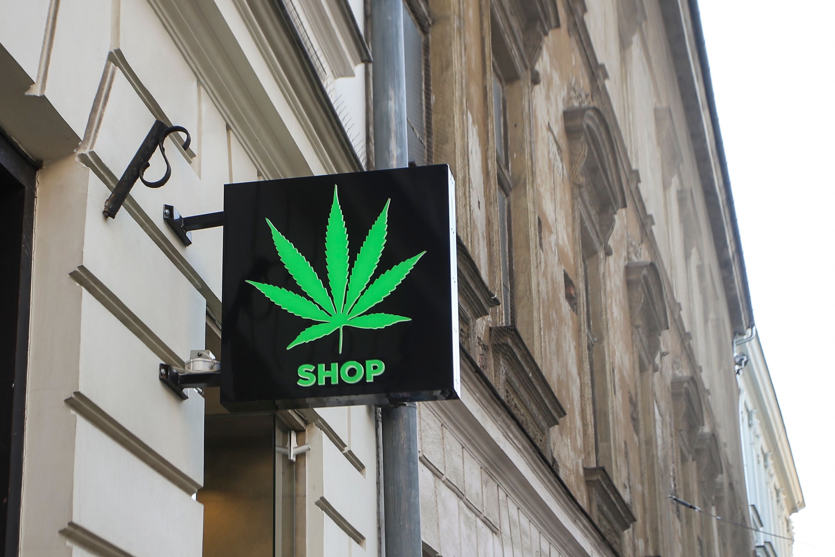 cannabis retail store