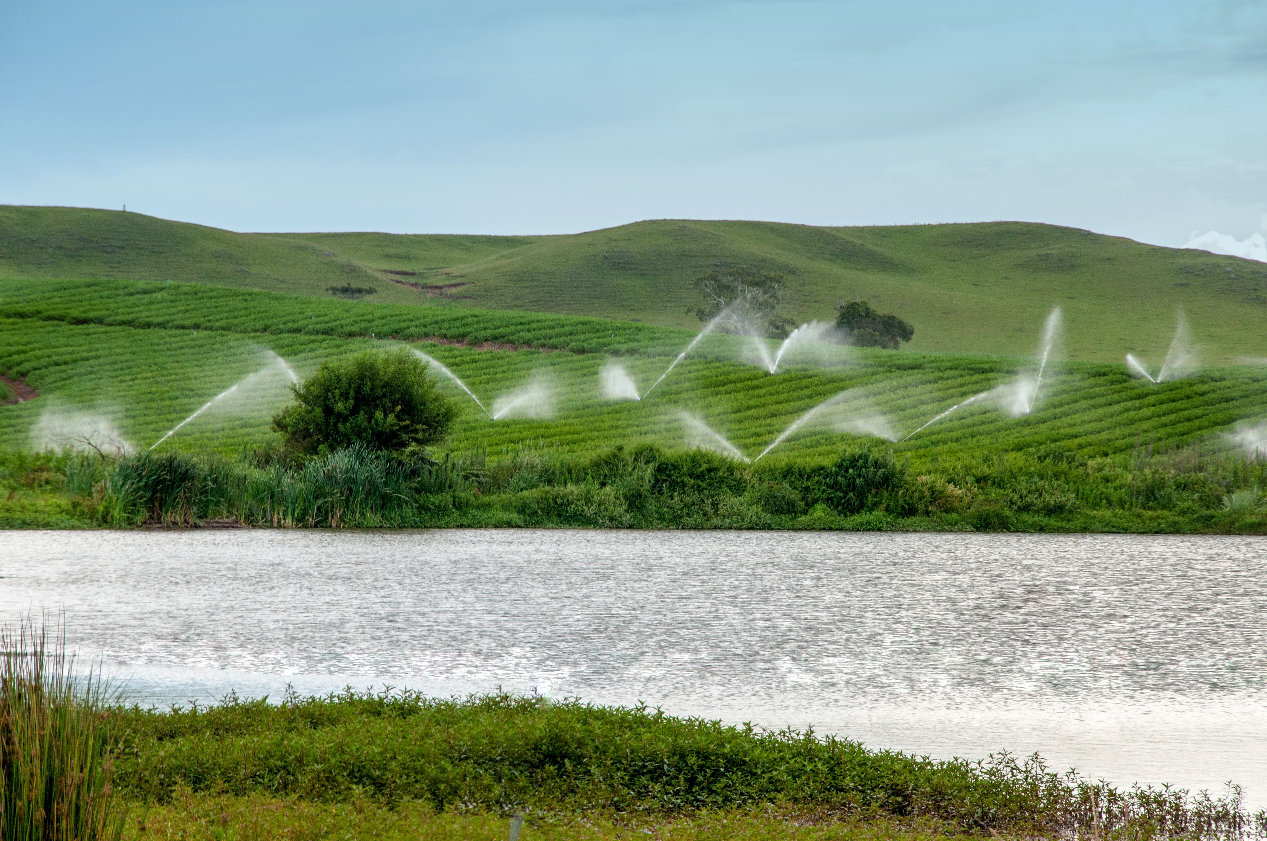 cost savings irrigation