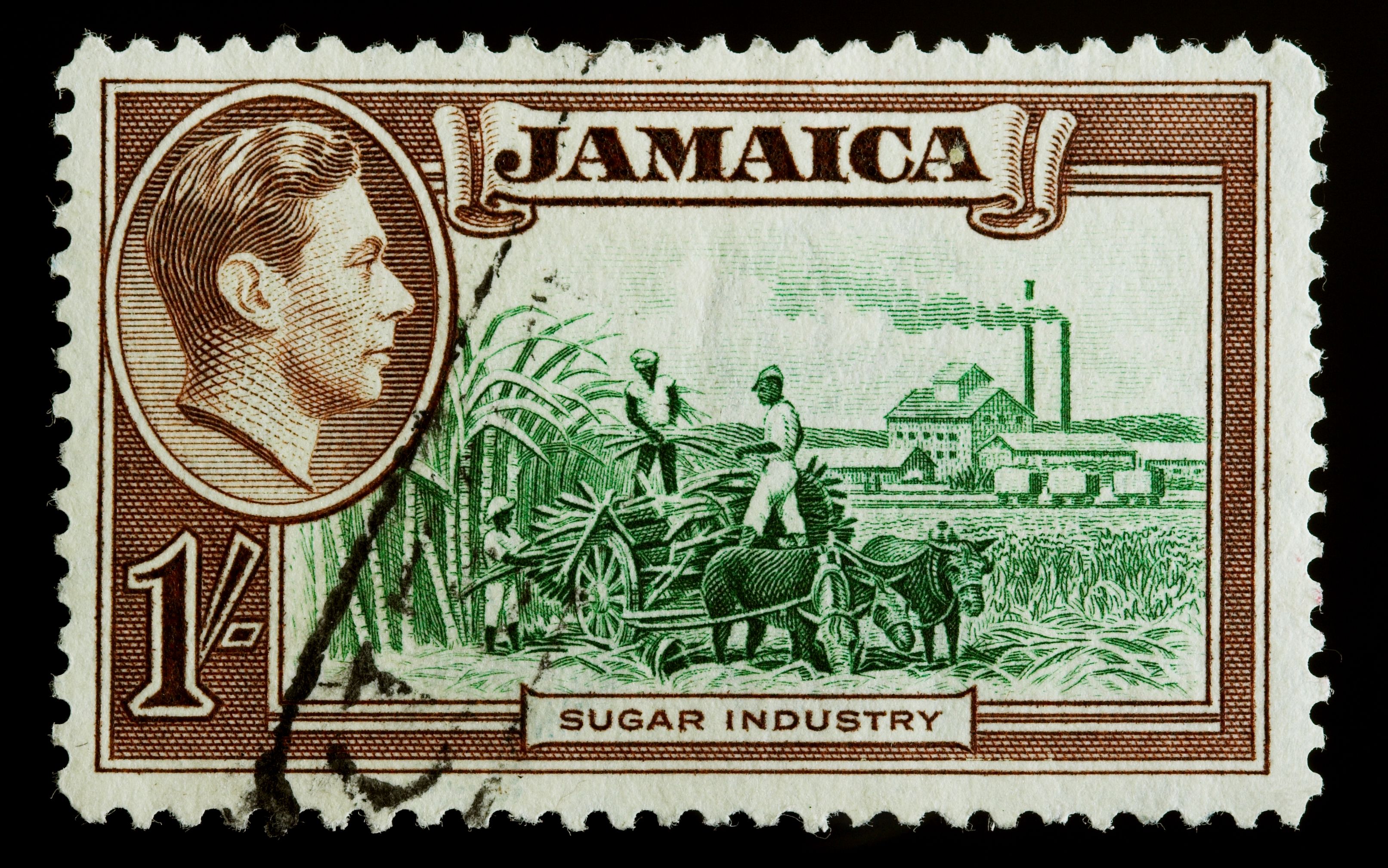 agricultural show jamaica