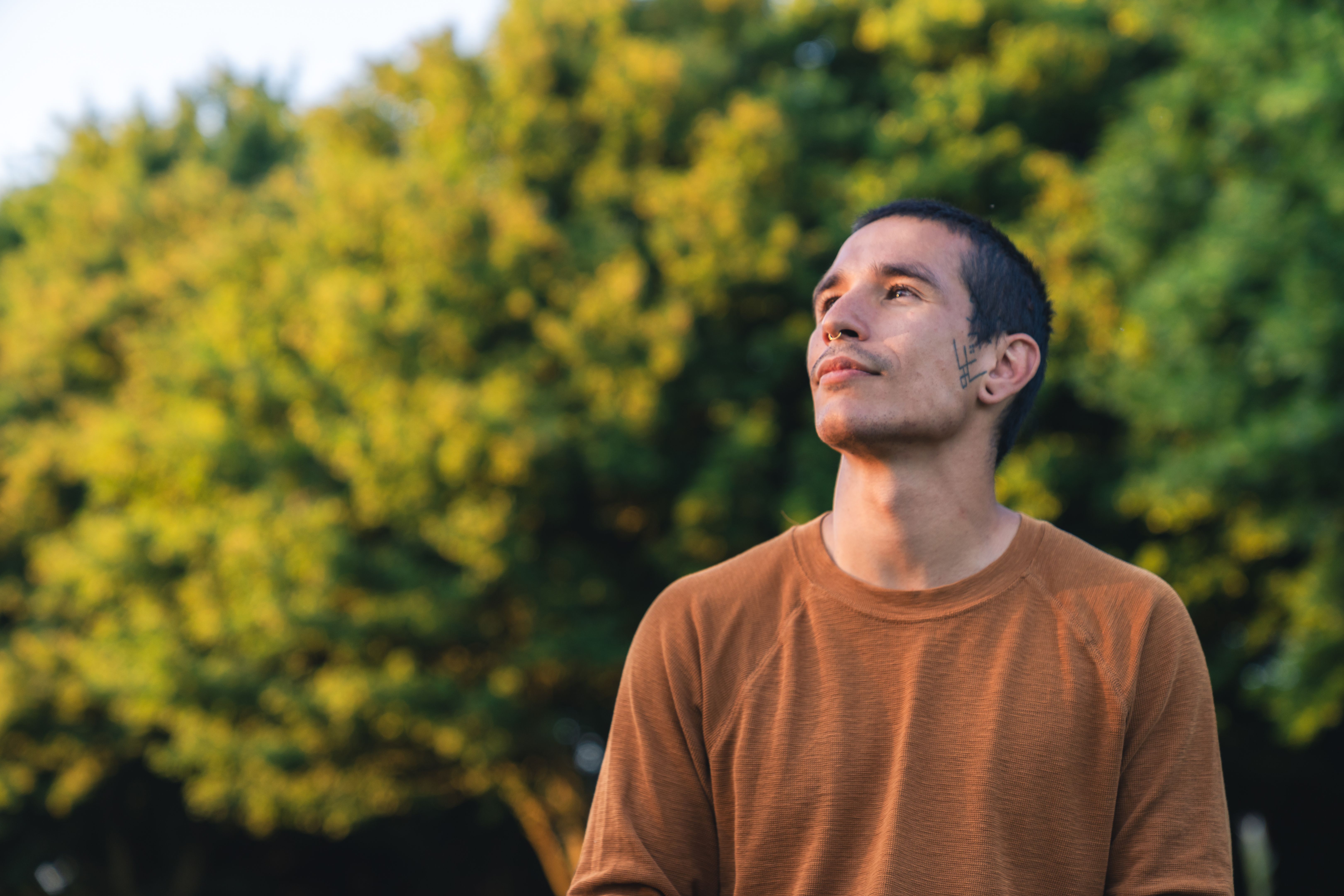 introspection nature