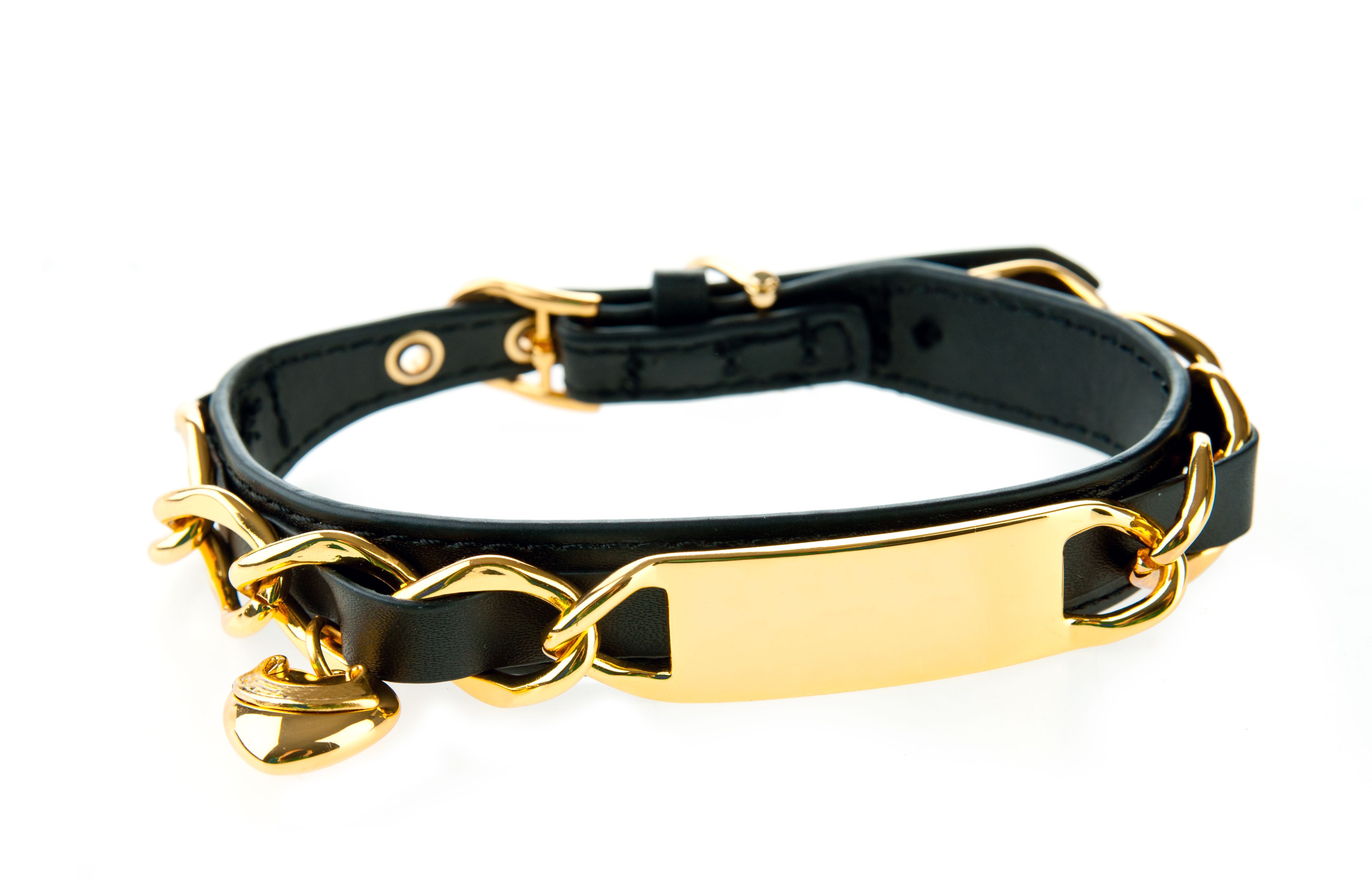 luxury dog collar