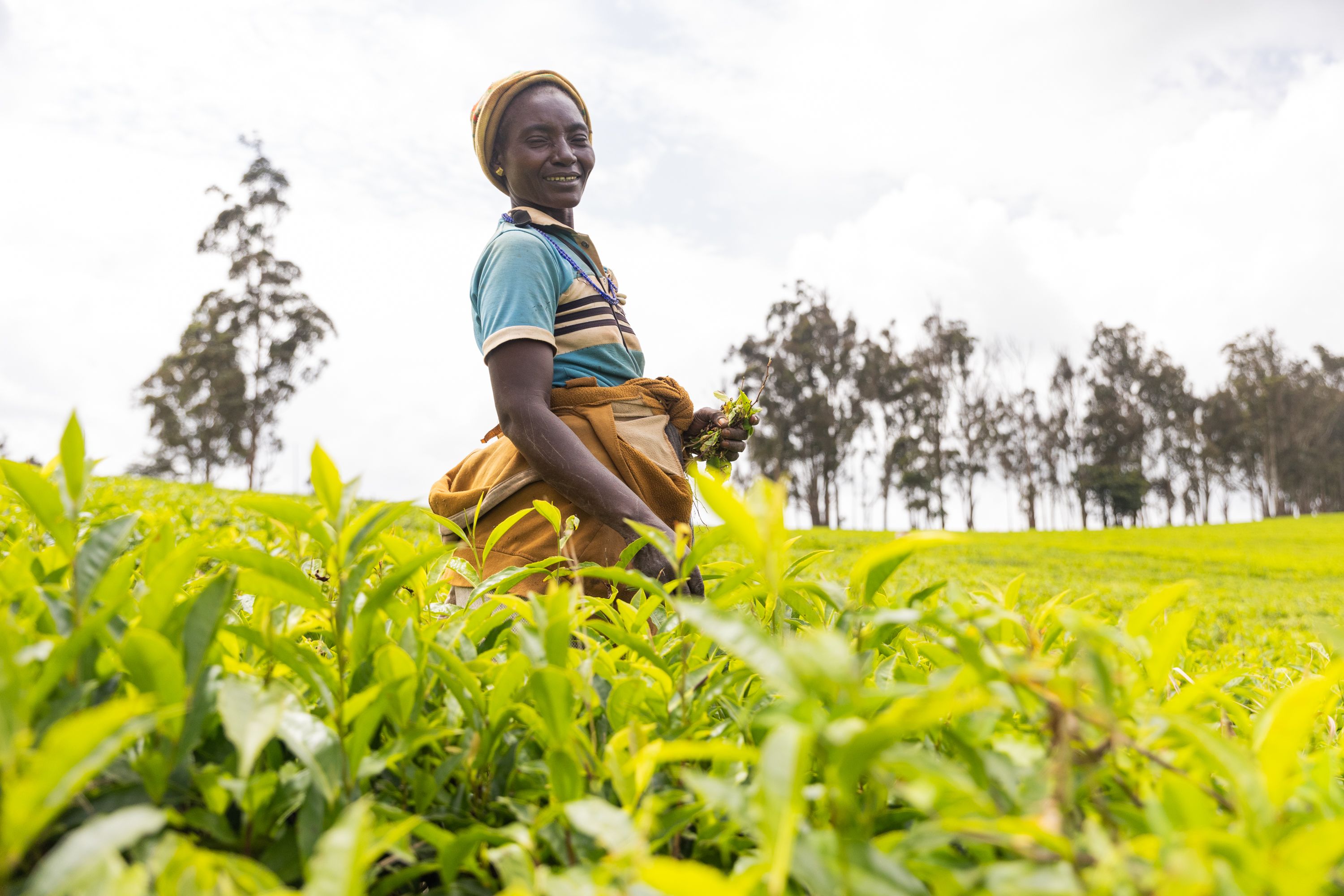 african farmer