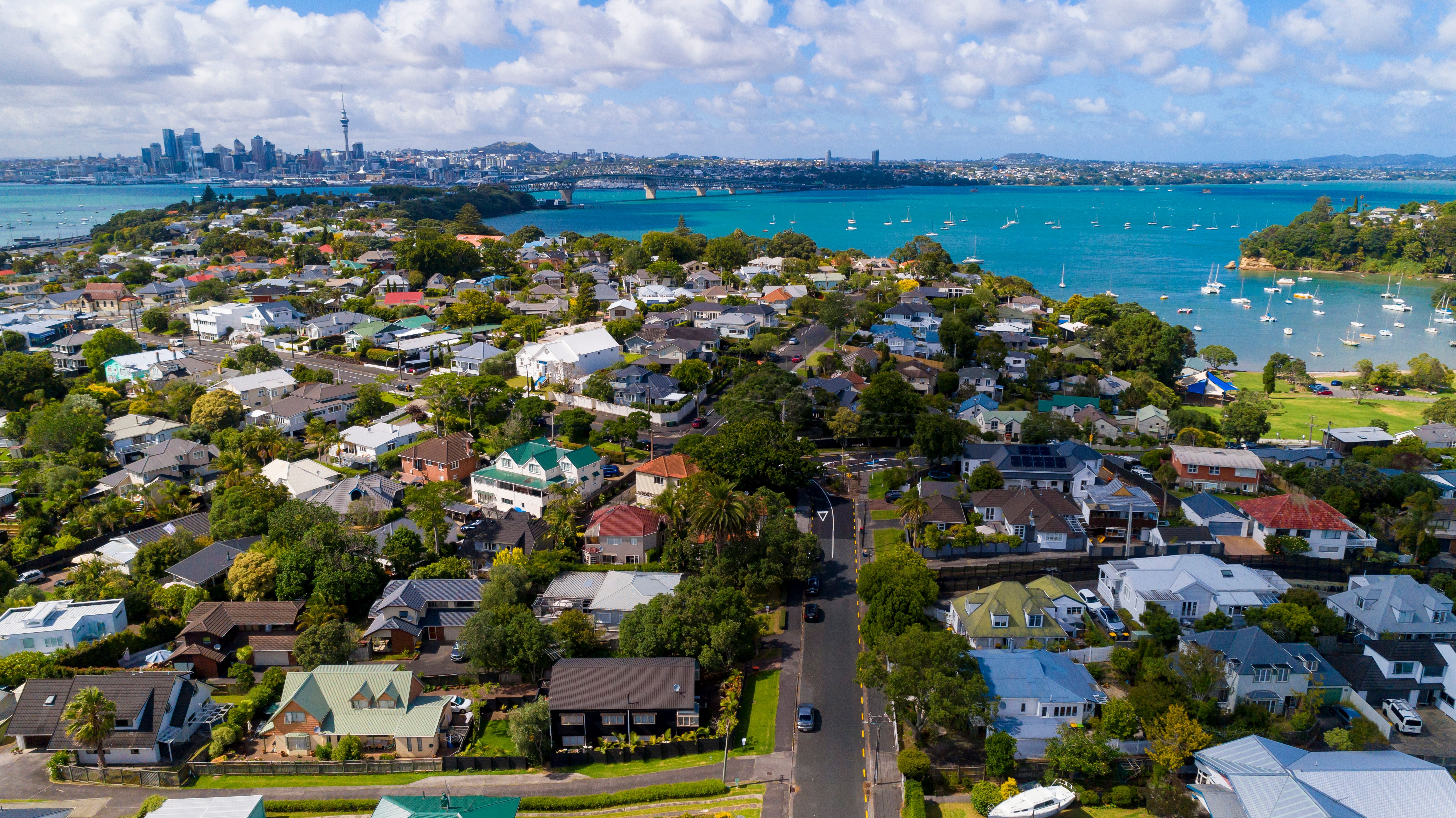 auckland real estate