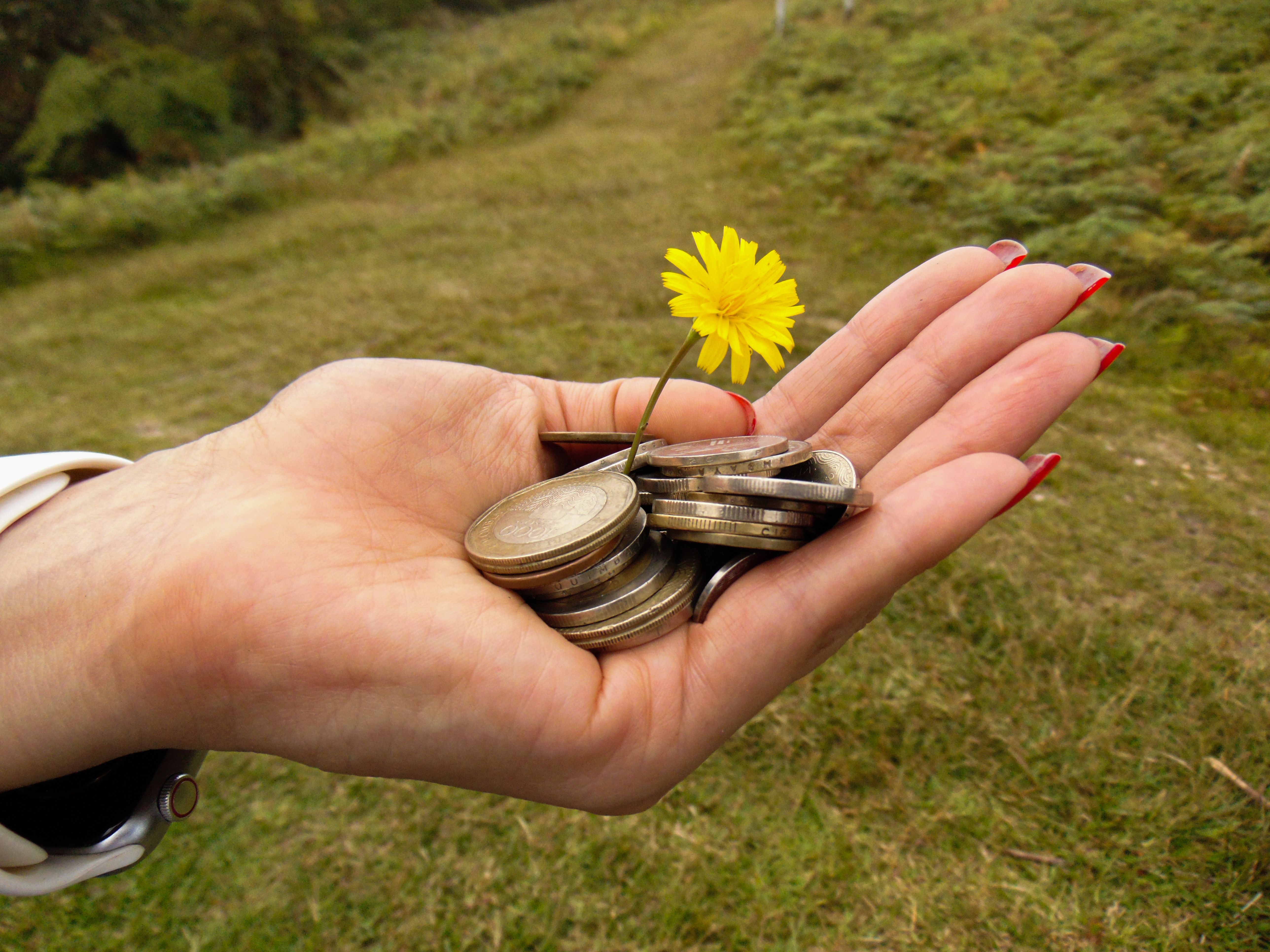 vending machine investment