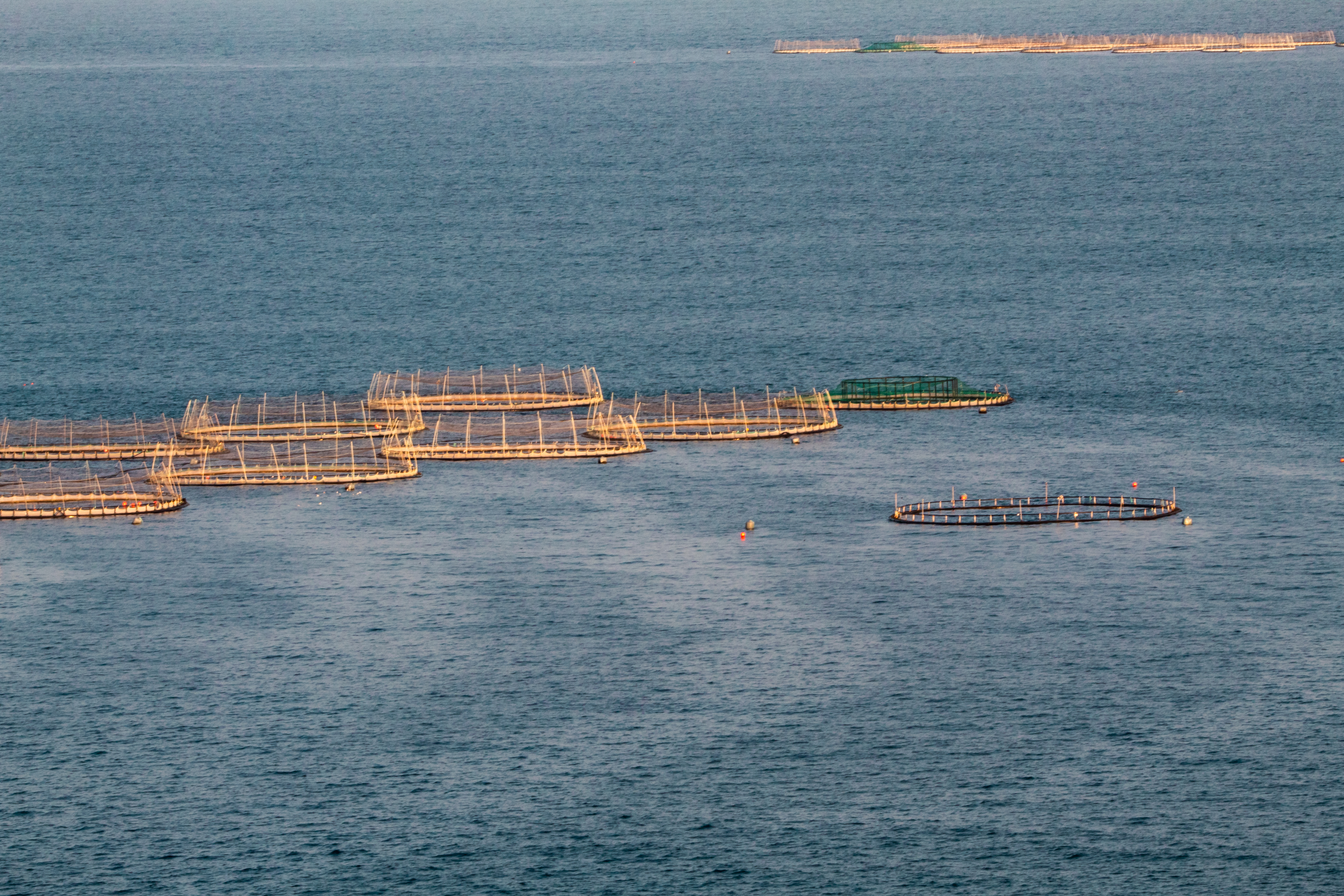 Salmon Farms in the Sea, Ireland