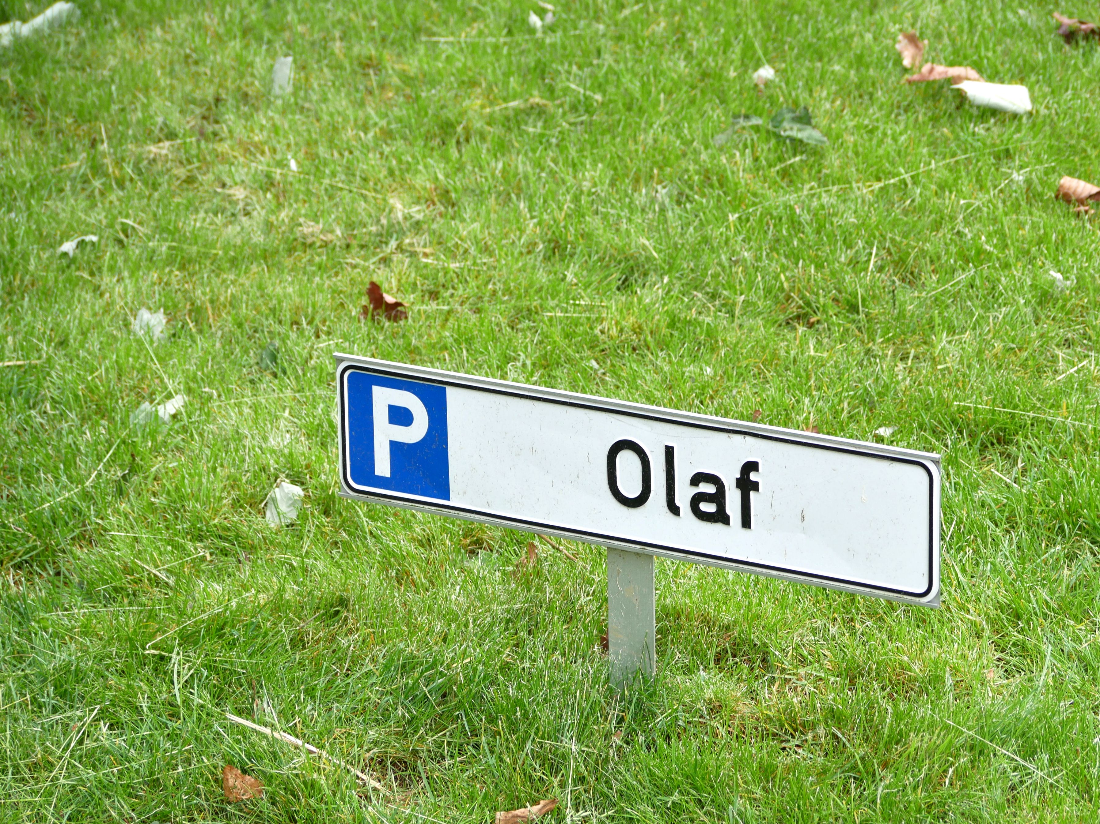 customized lawn care