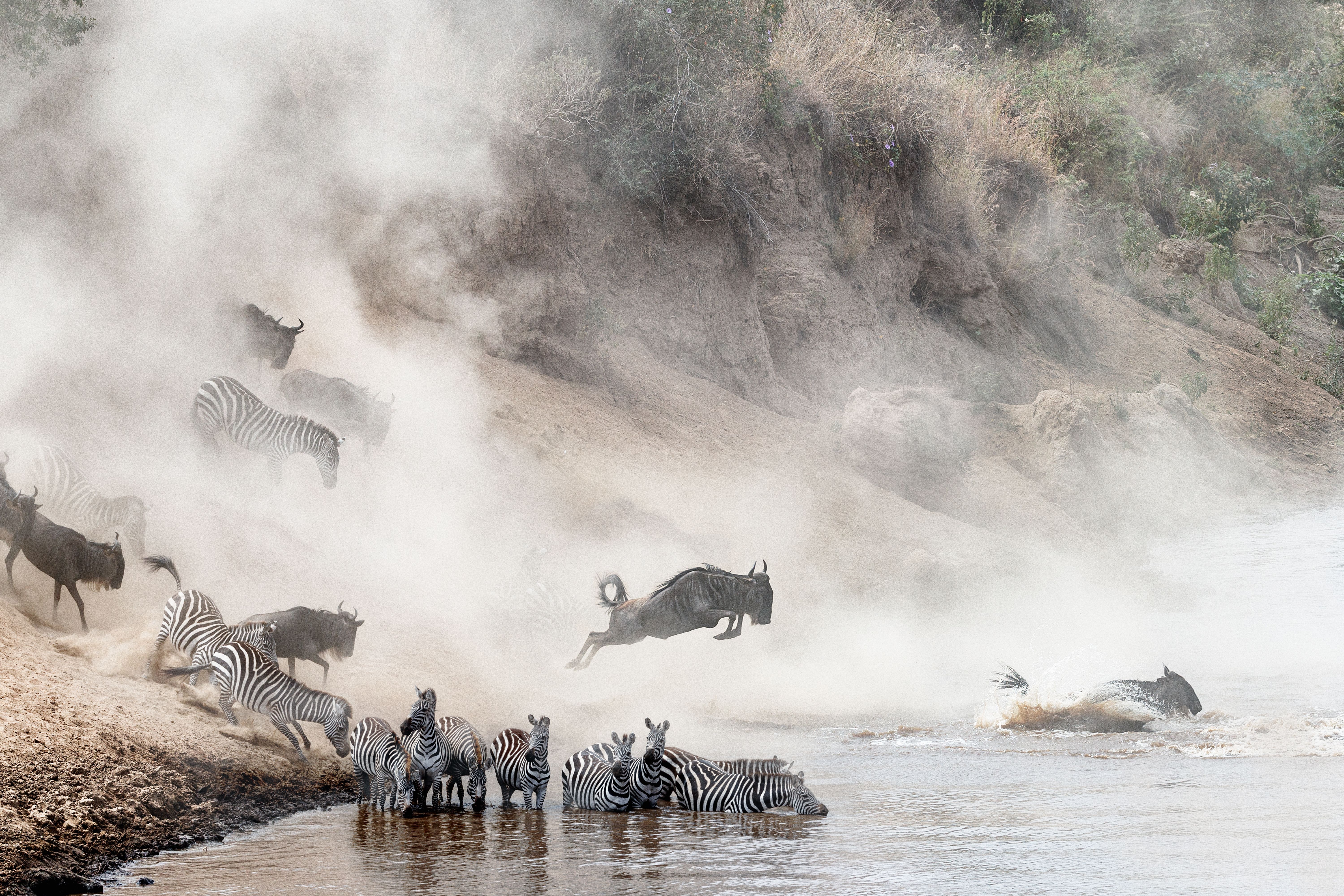 mara river crossing