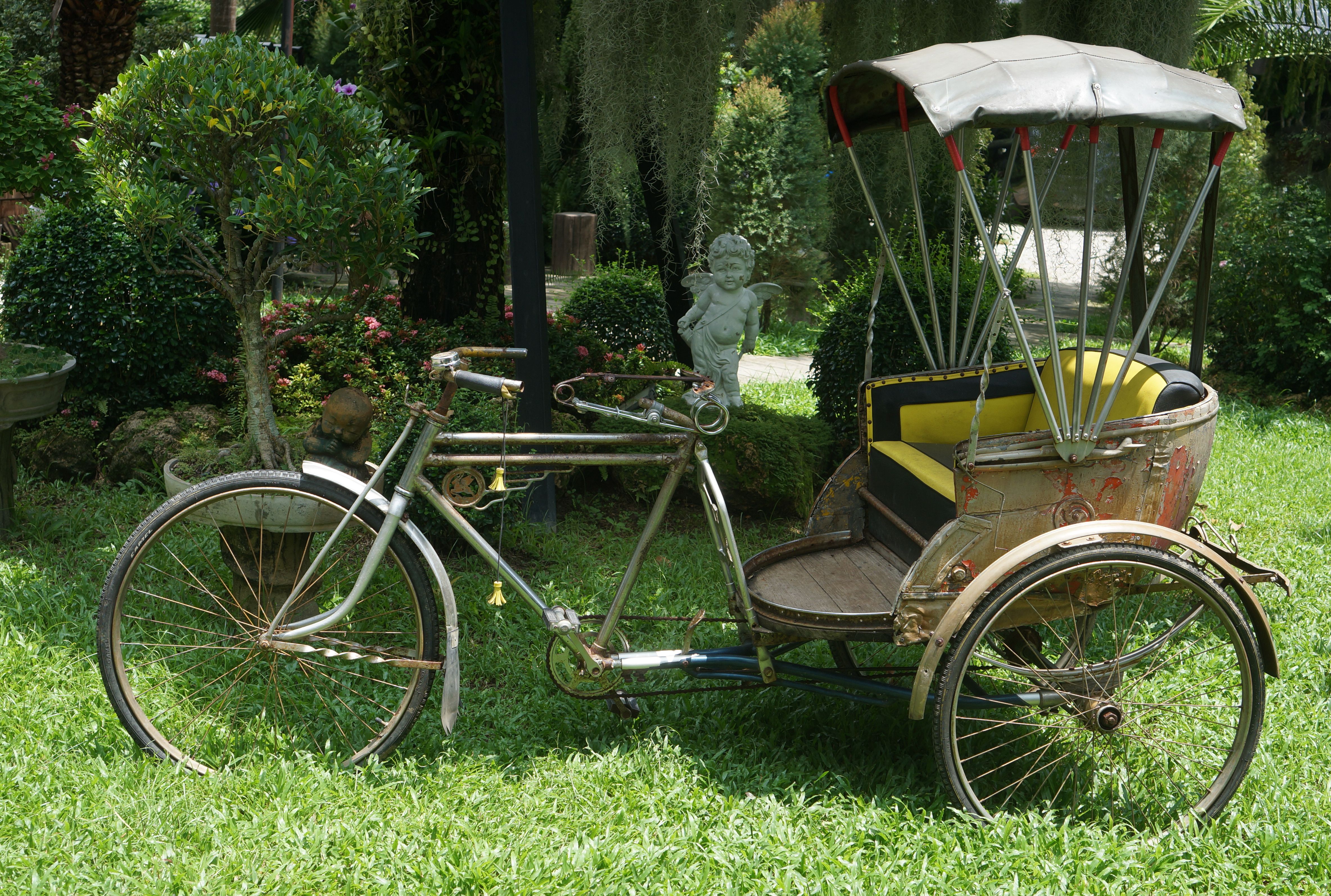 wooden tricycle