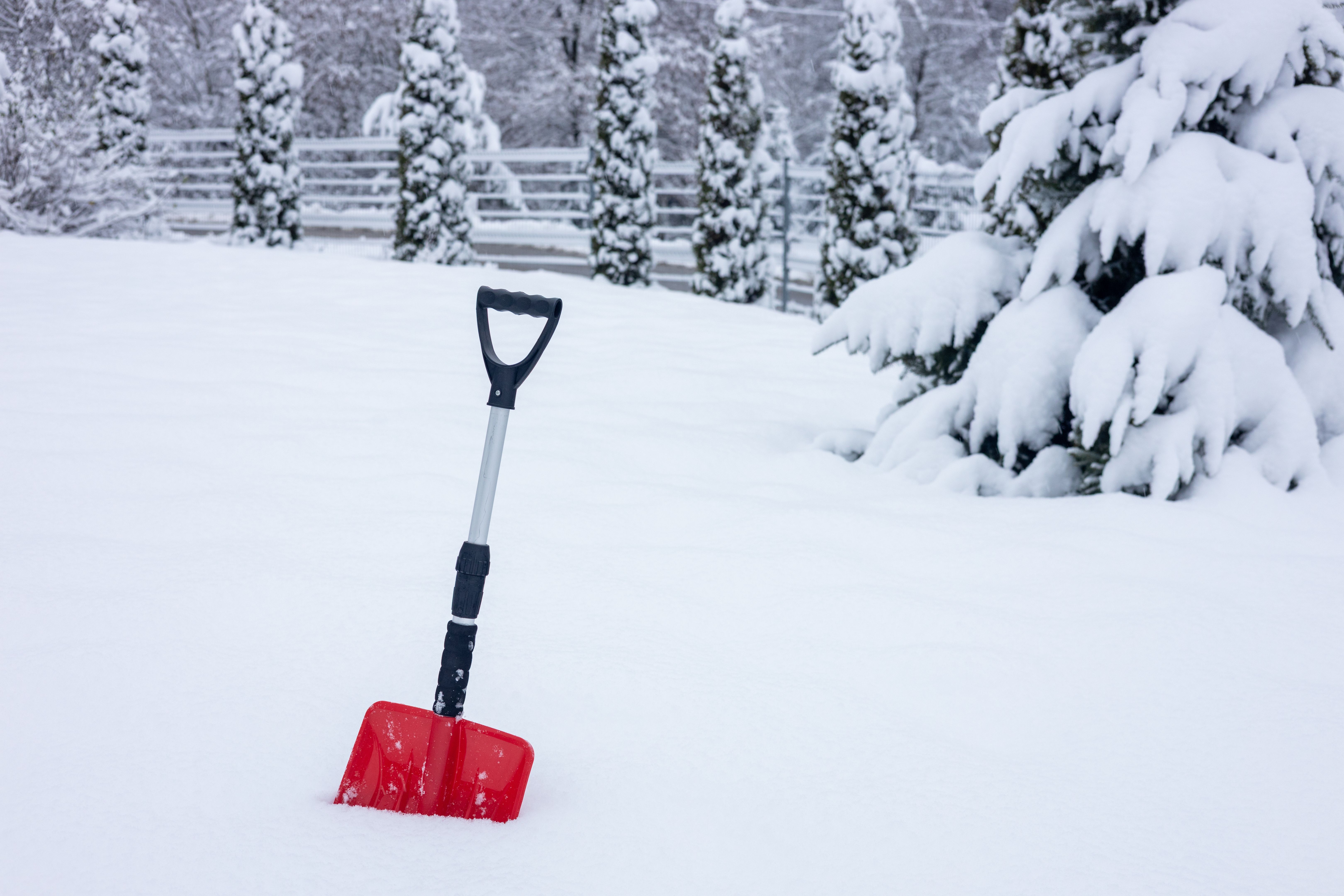 professional snow removal