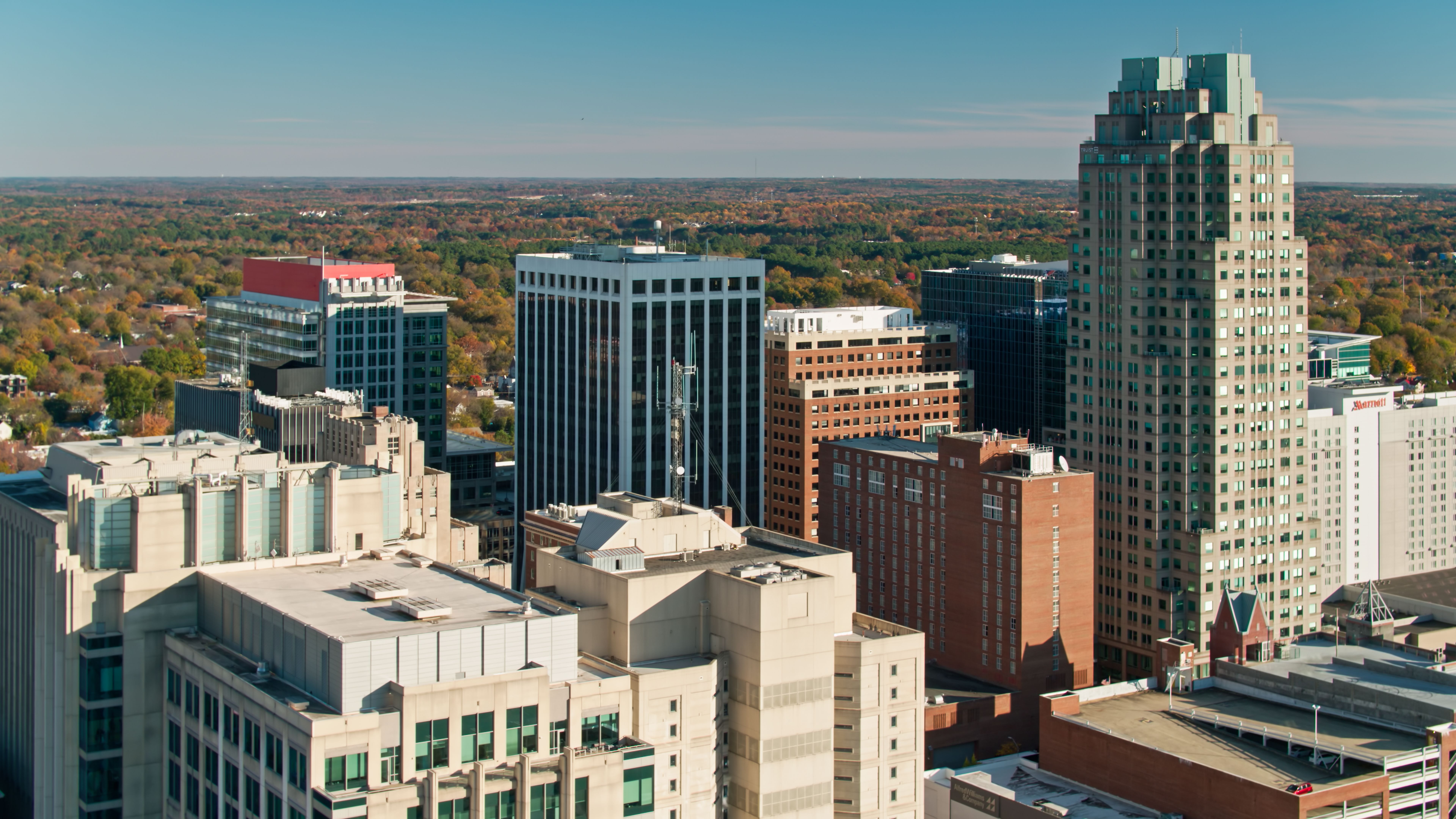 therapy options Raleigh