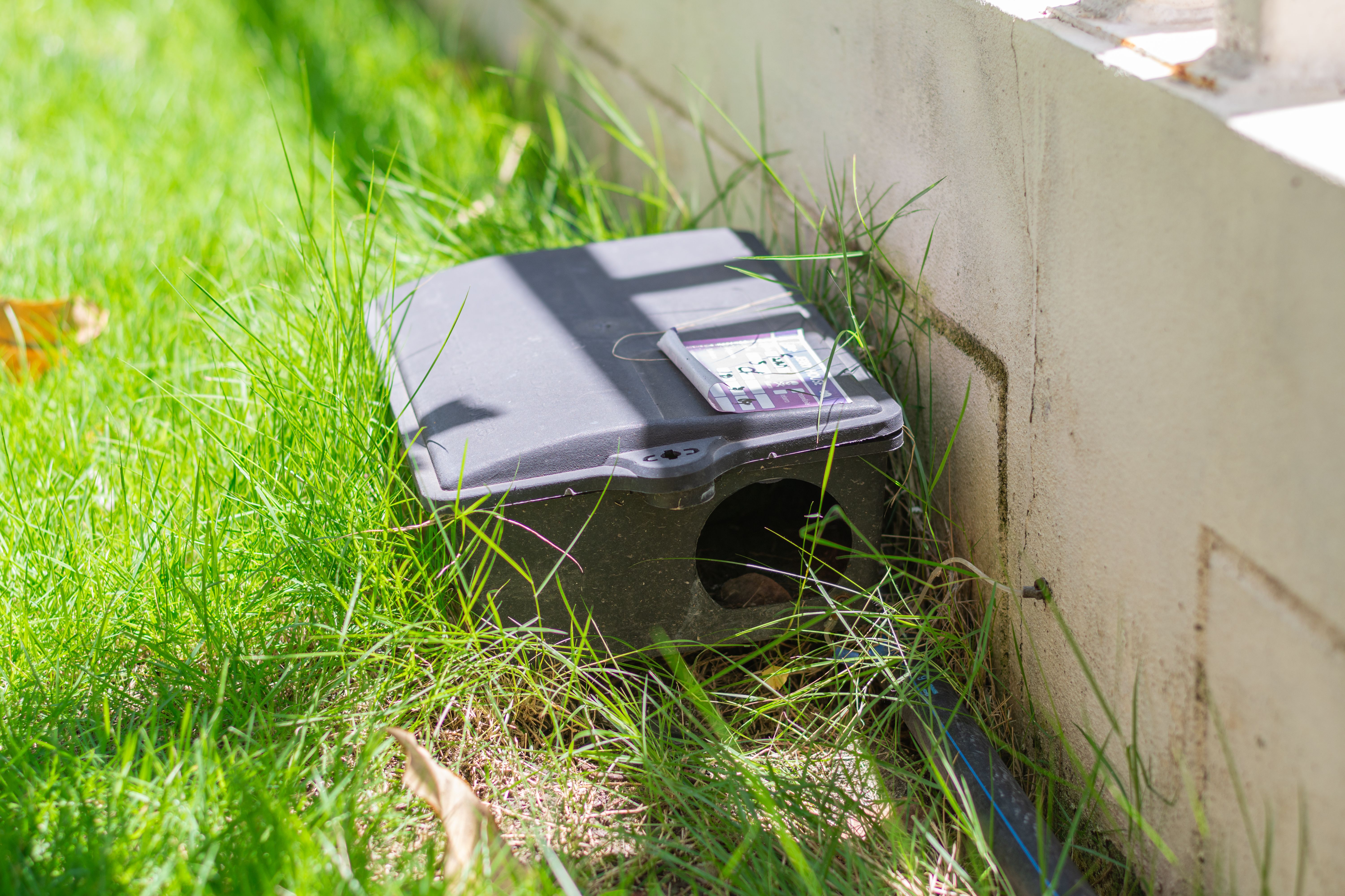 Poison rat trap box on the floor. Outdoor poison rat station in factory. Poison rat trap box on the floor. Outdoor poison rat station in factory.