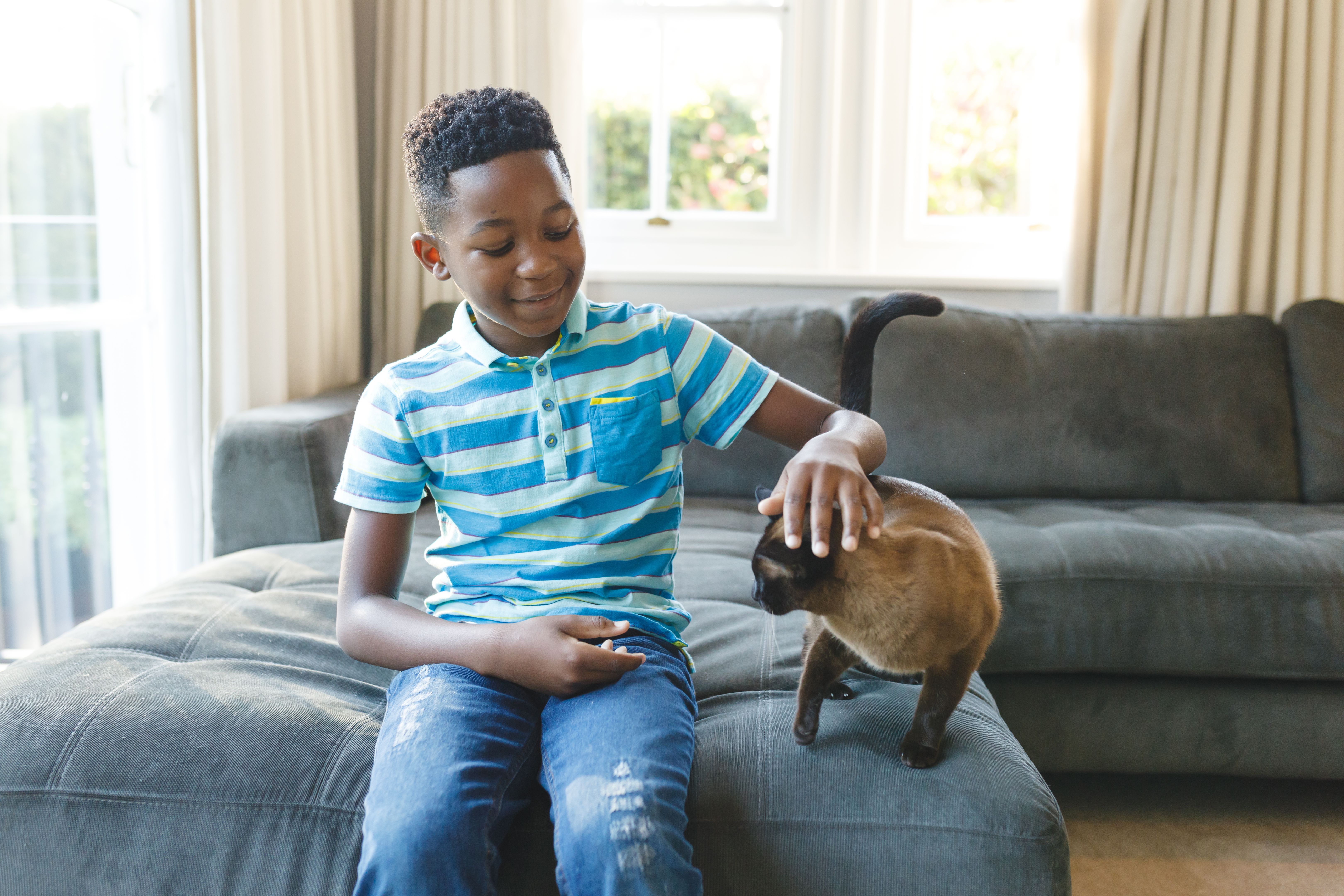 Happy african american boy sitting on couch and petting his cat in sunny living room Happy african american boy sitting on couch and petting his cat in sunny living room