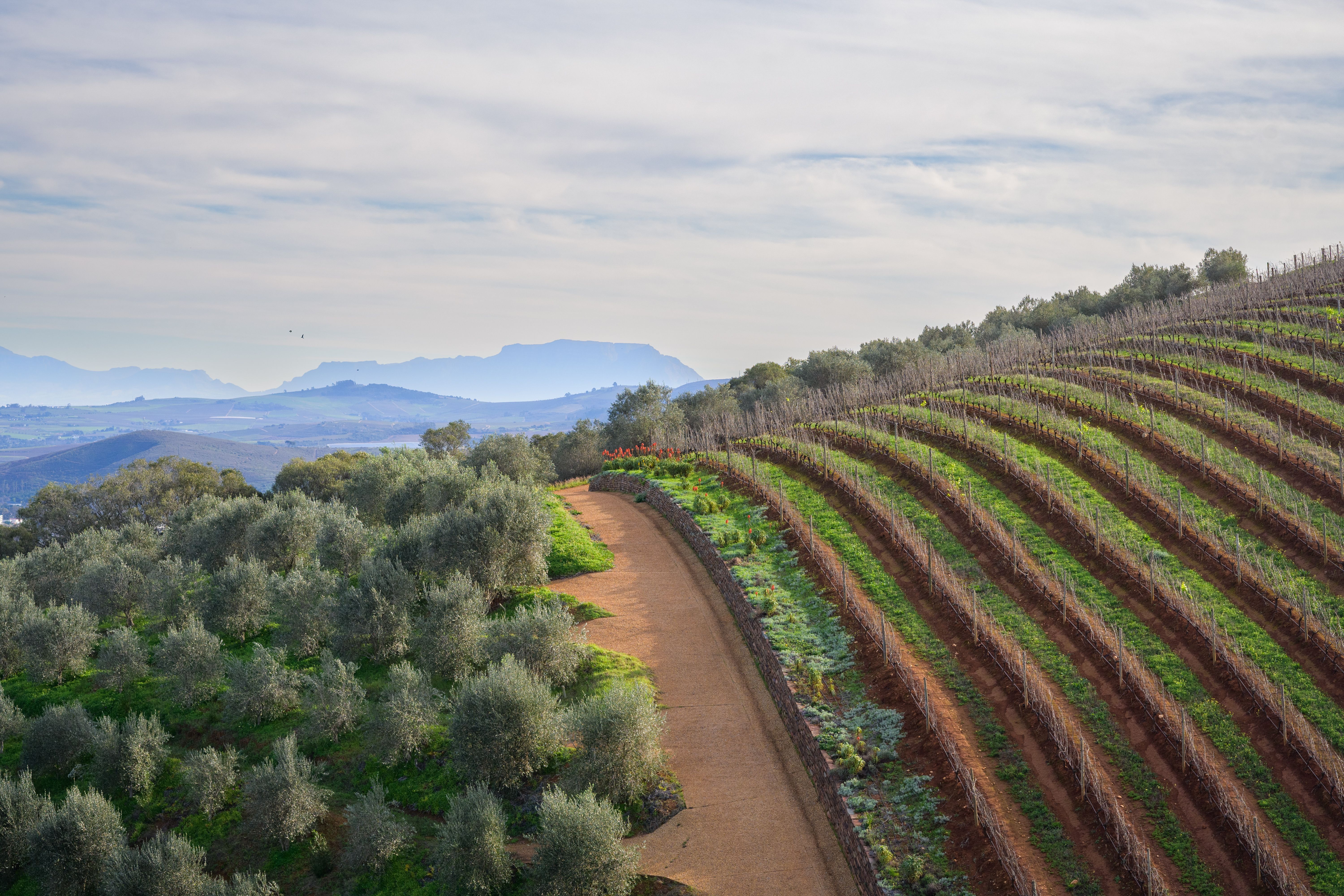 Table Mountain winter