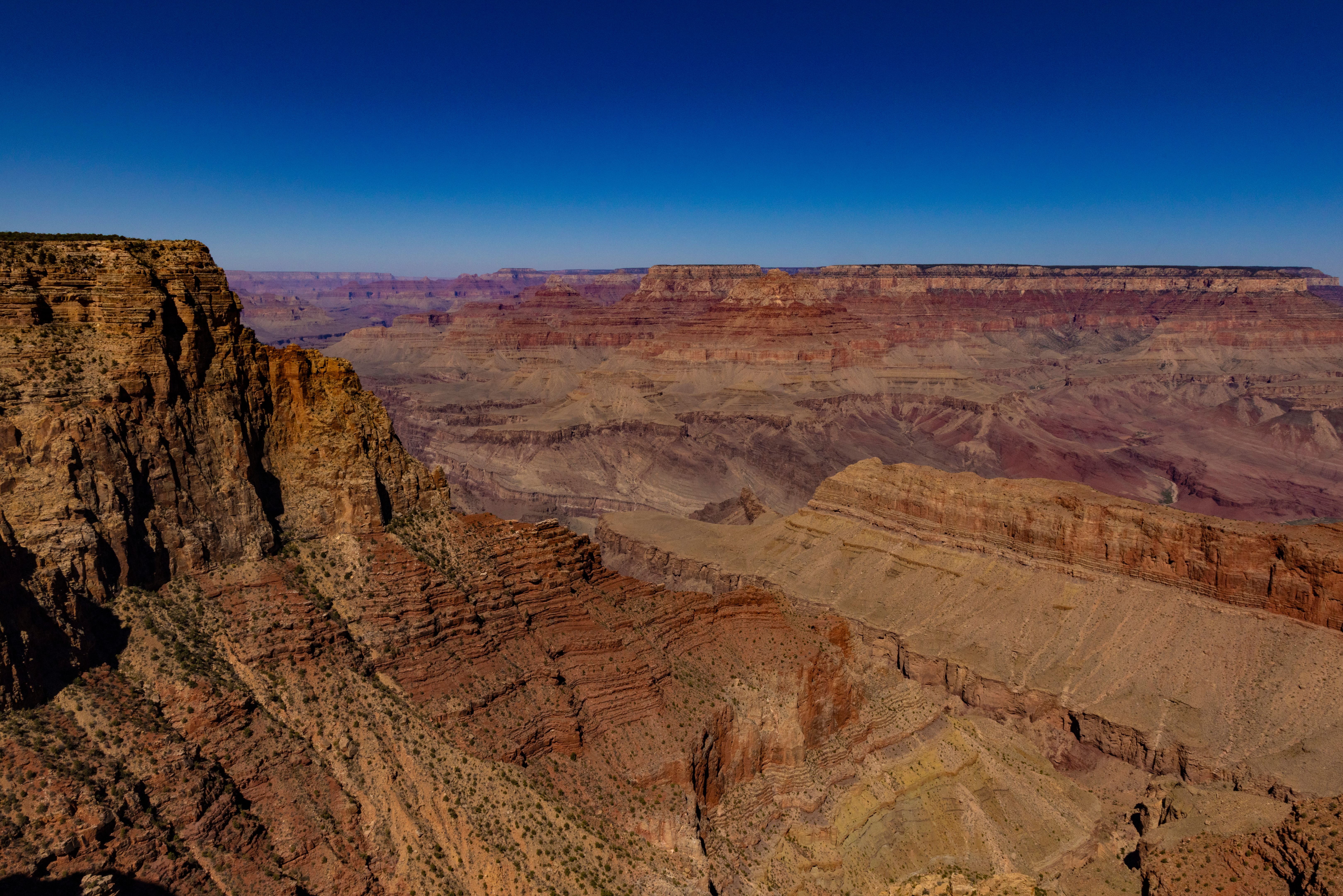 grand canyon view