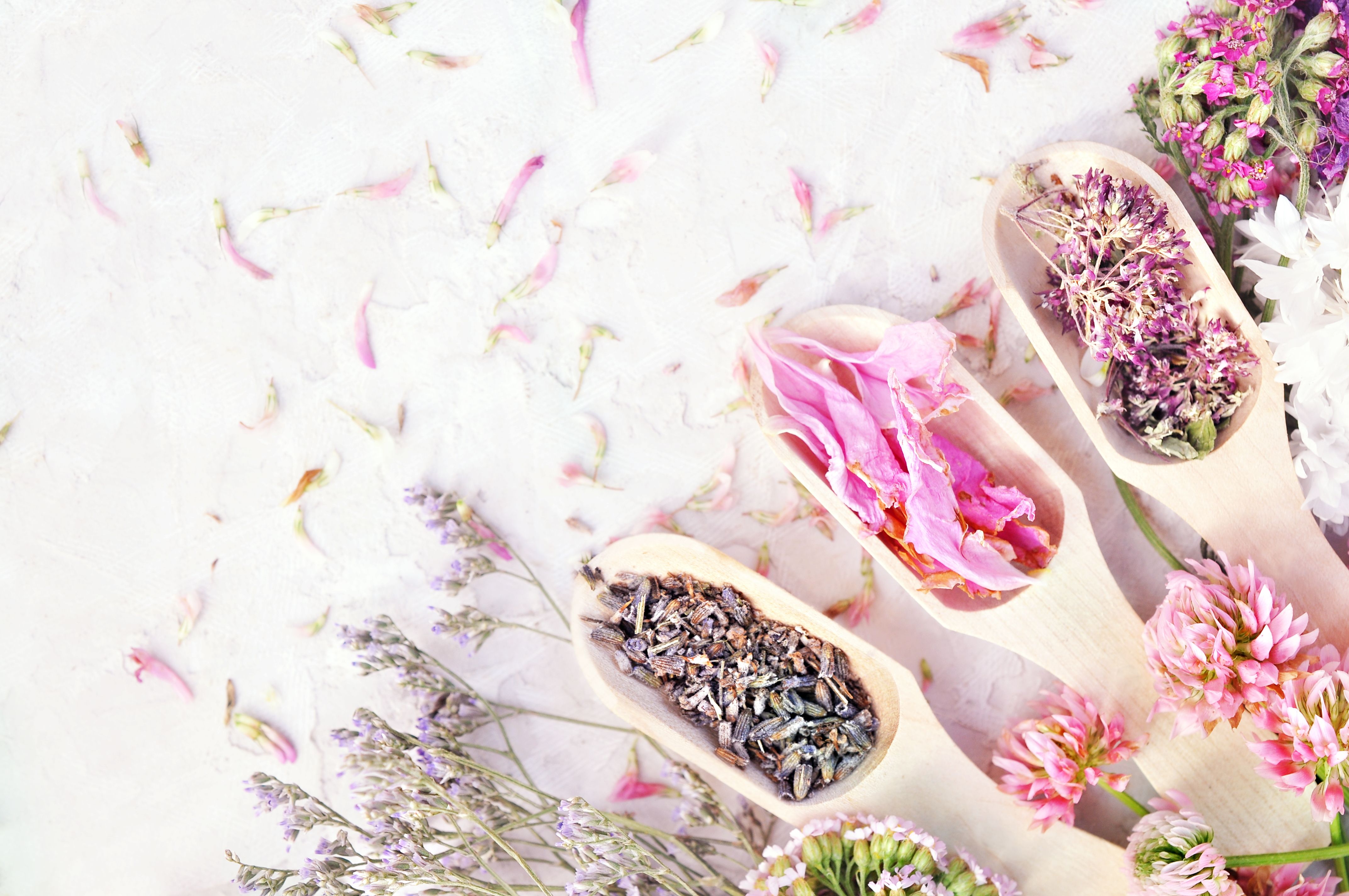 Medicinal flowers and herbs background: chamomile, clover, calendula, yarrow,