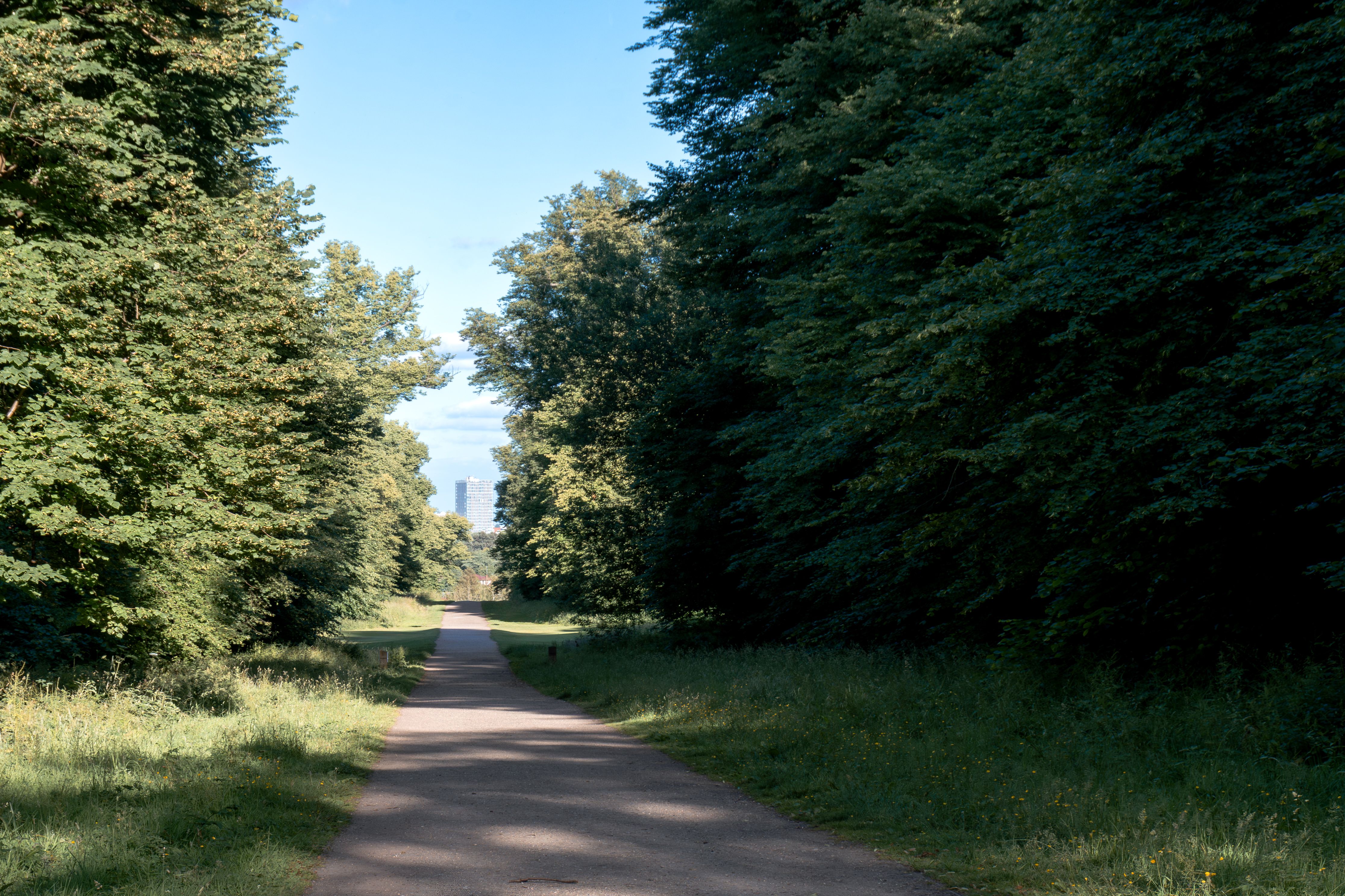 Sat Albans walking club along a single lane treeline dirt road with tower black at the end