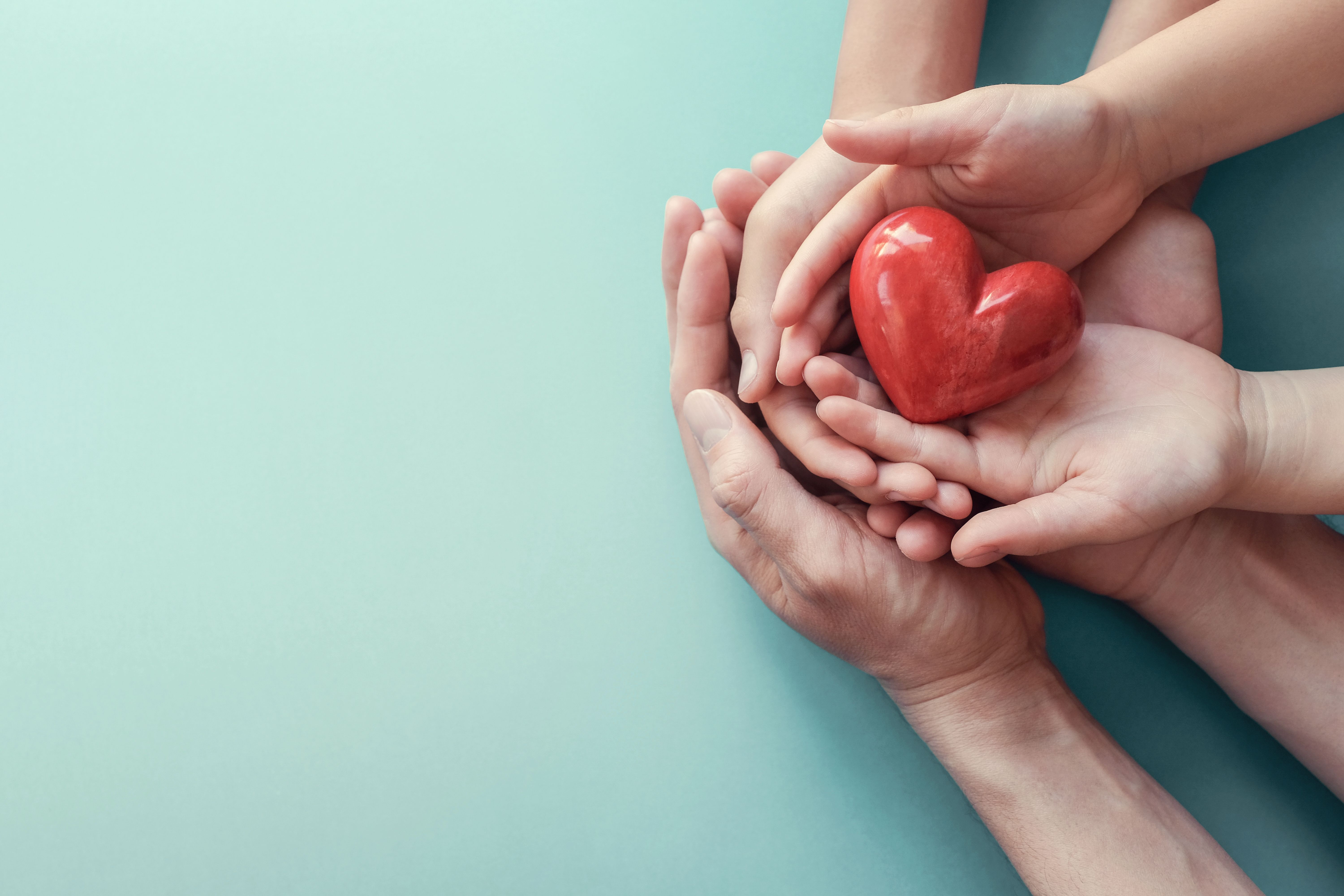 donor support