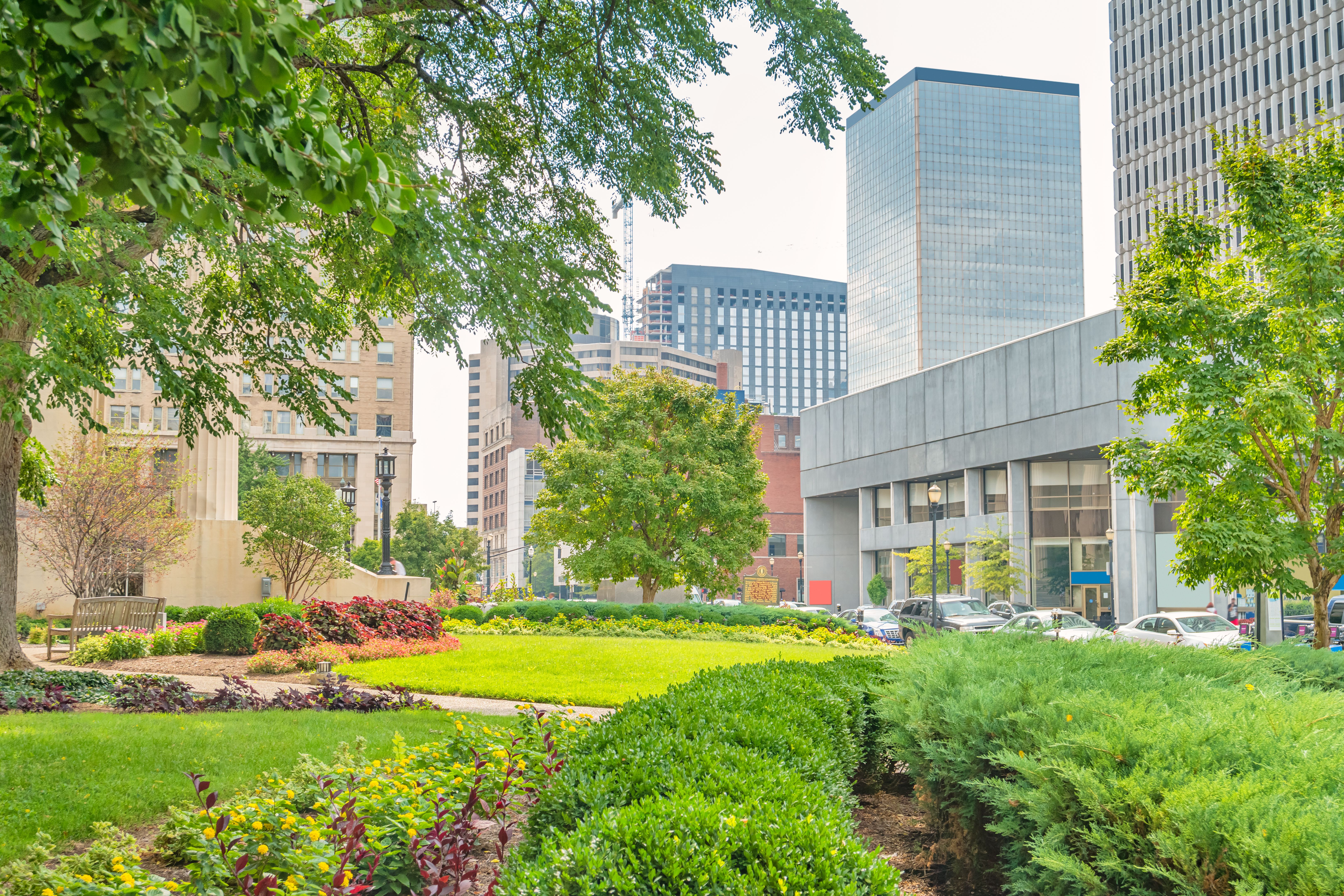 landscaping Louisville