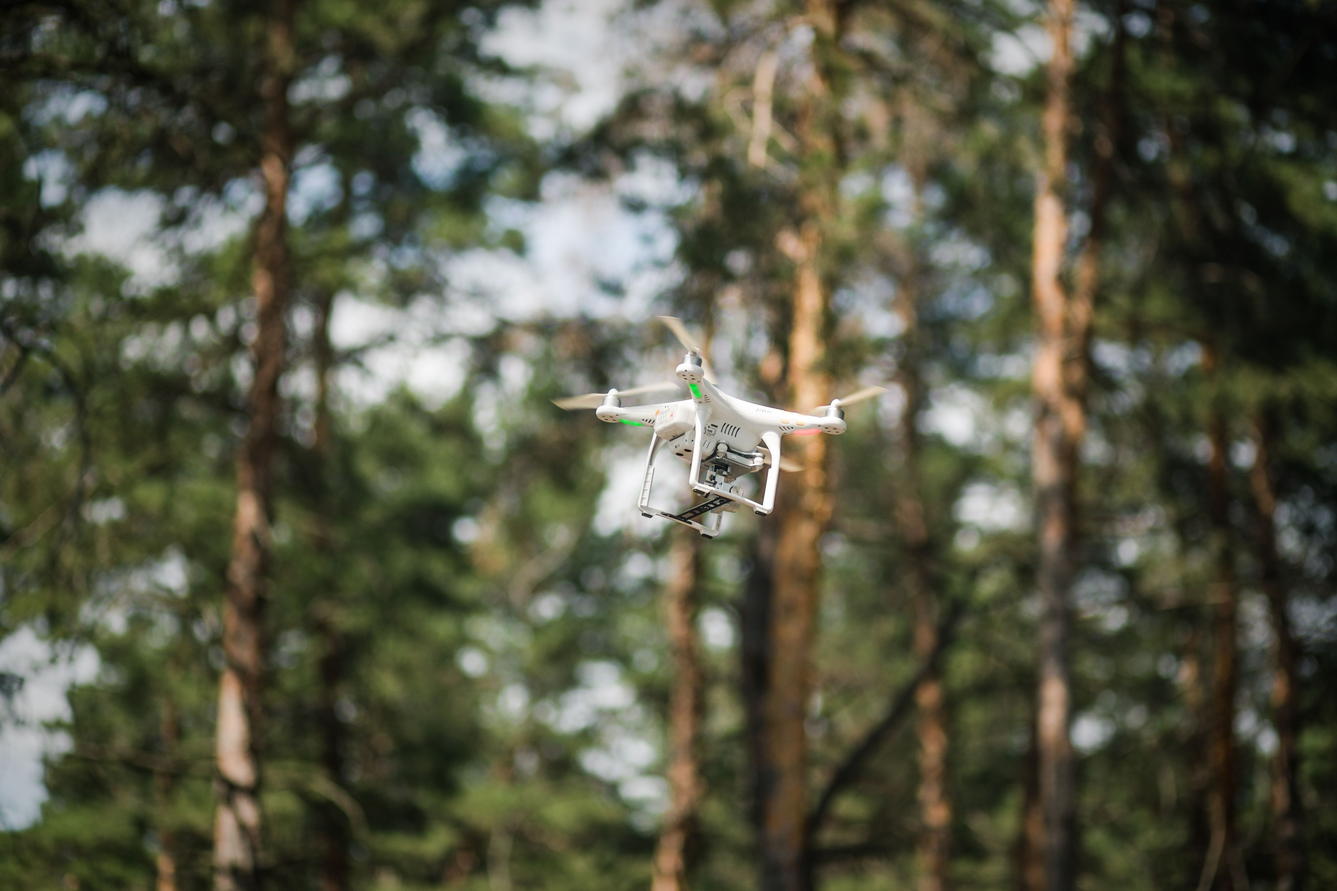 drone monitoring trees