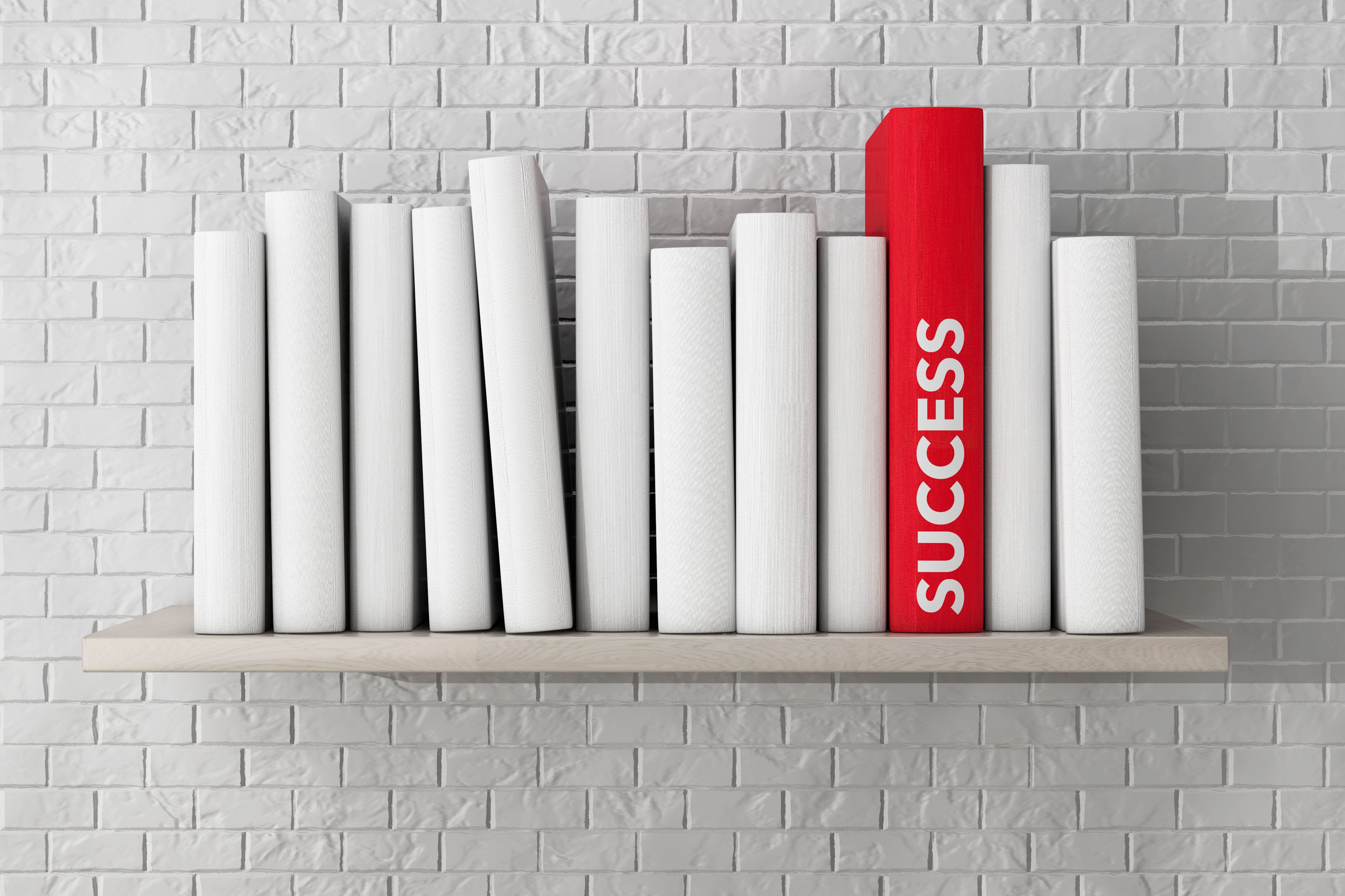 successful self-published books