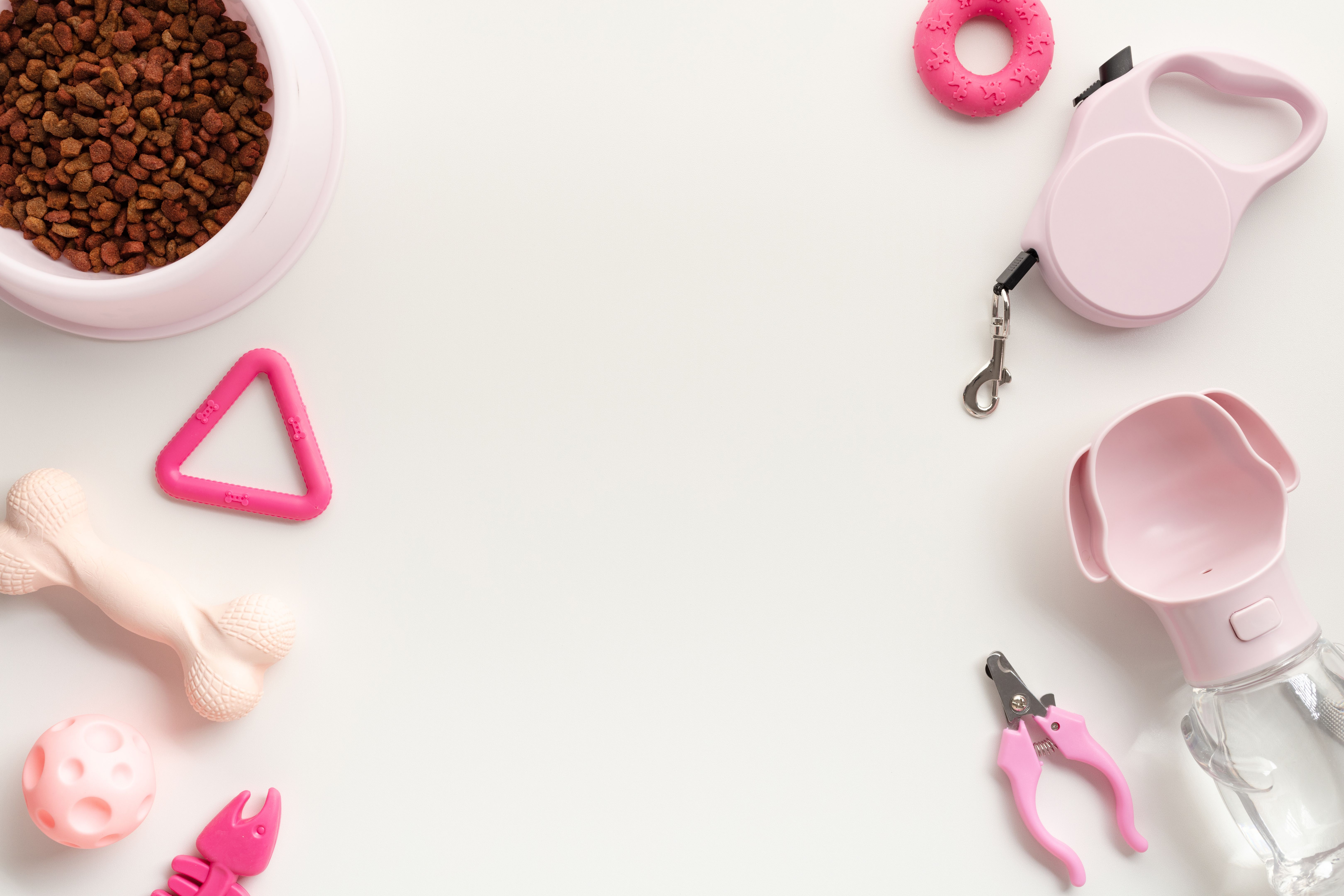 luxury dog accessories