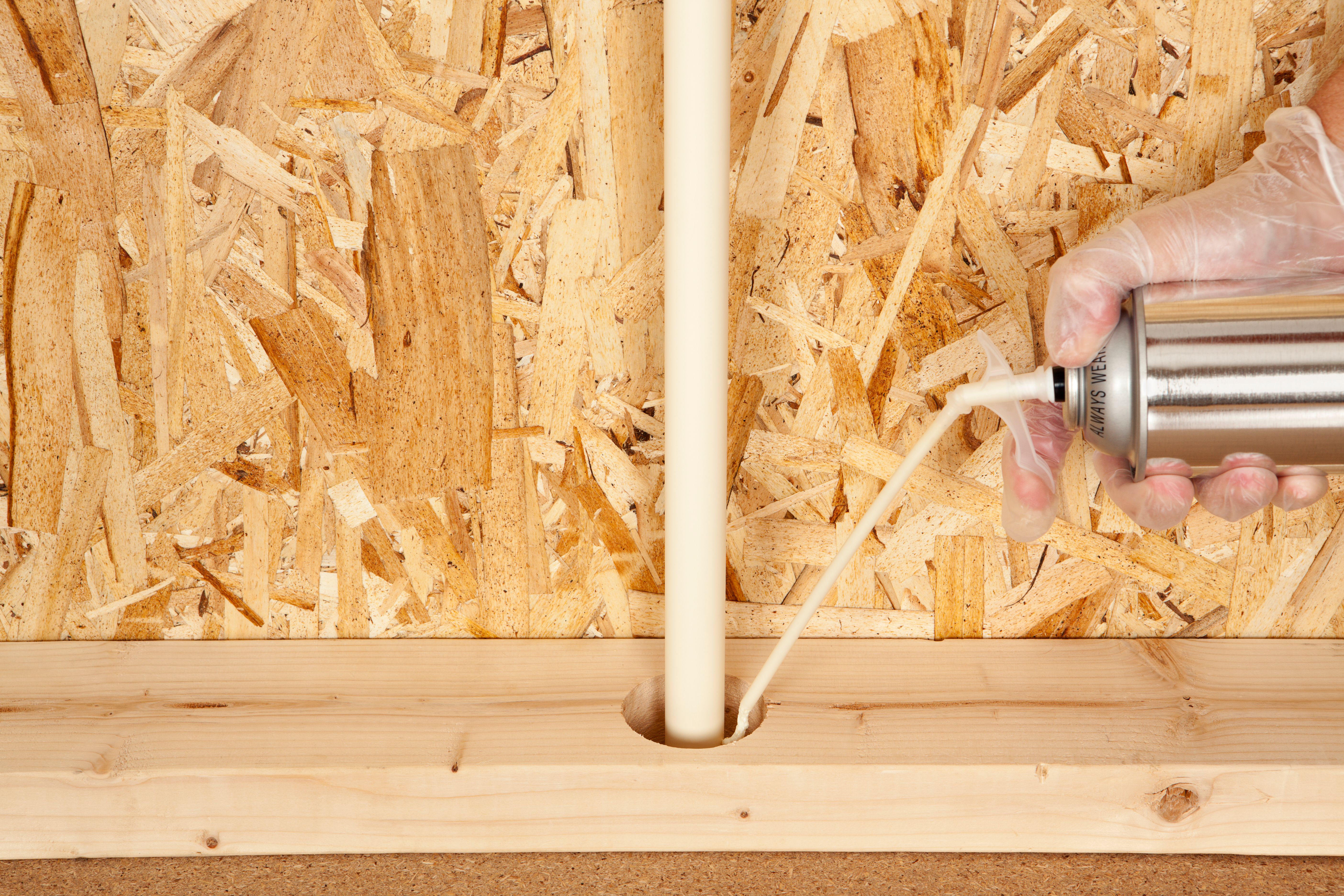 diy pest control