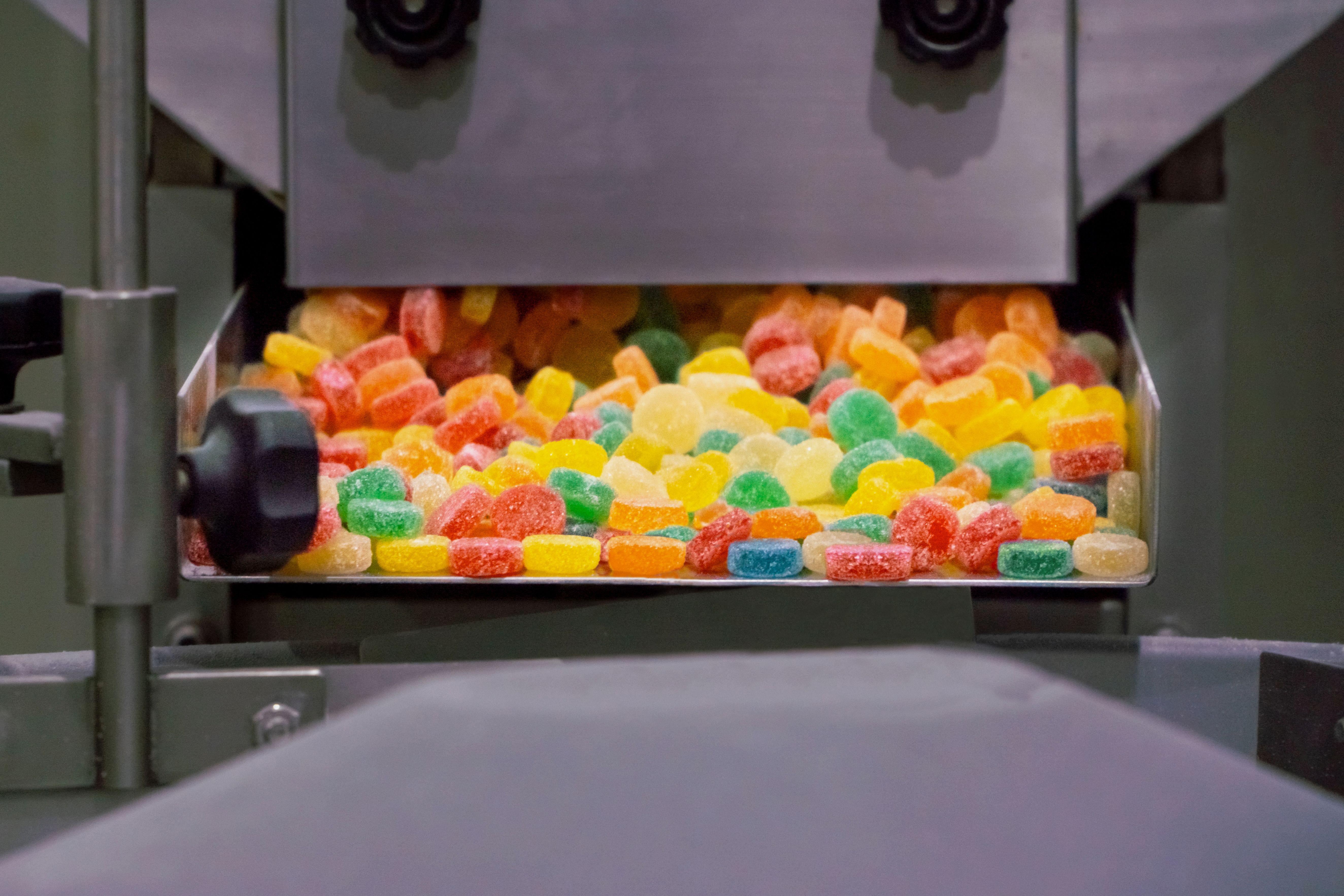 gummy production