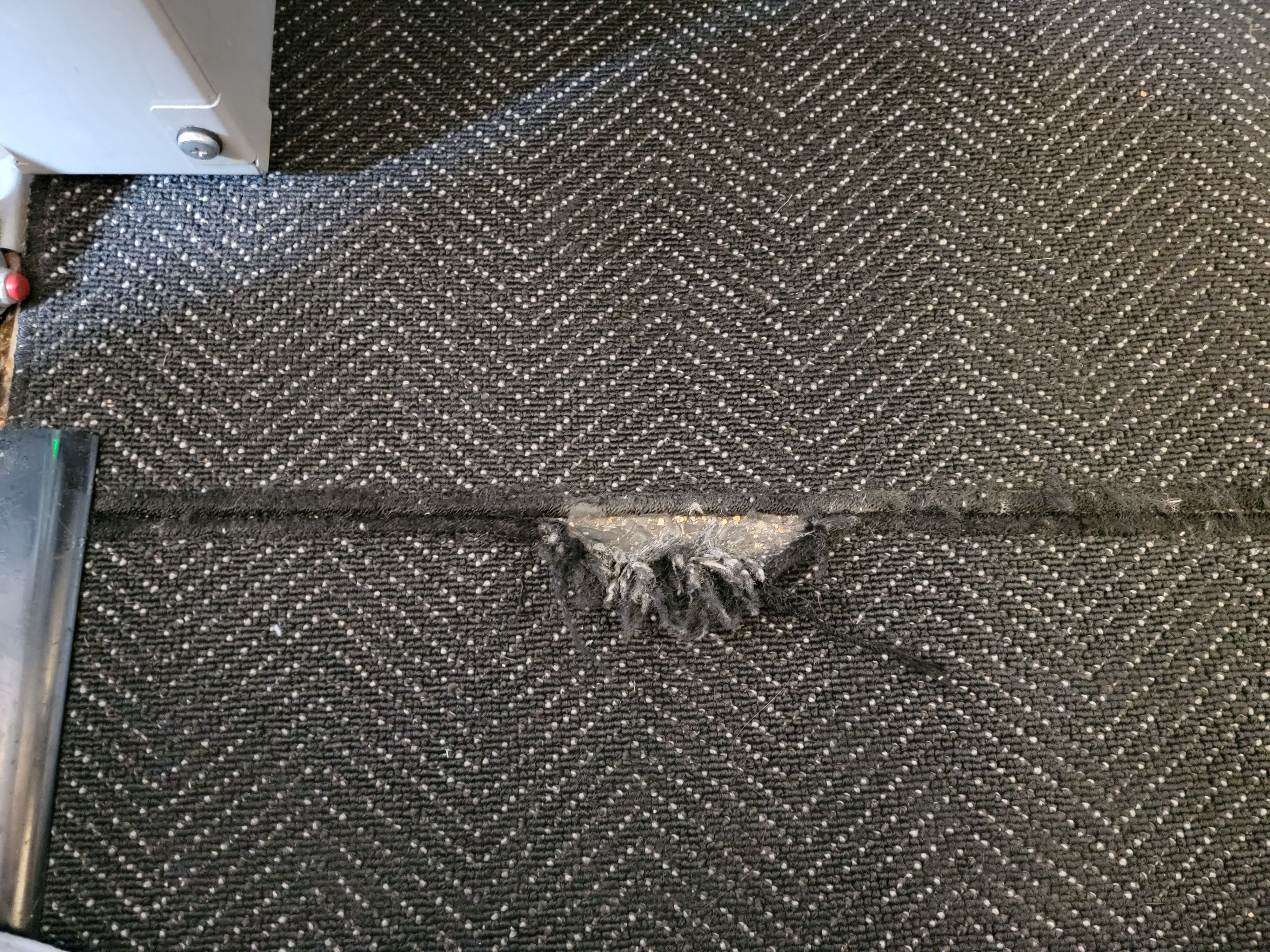 carpet damage
