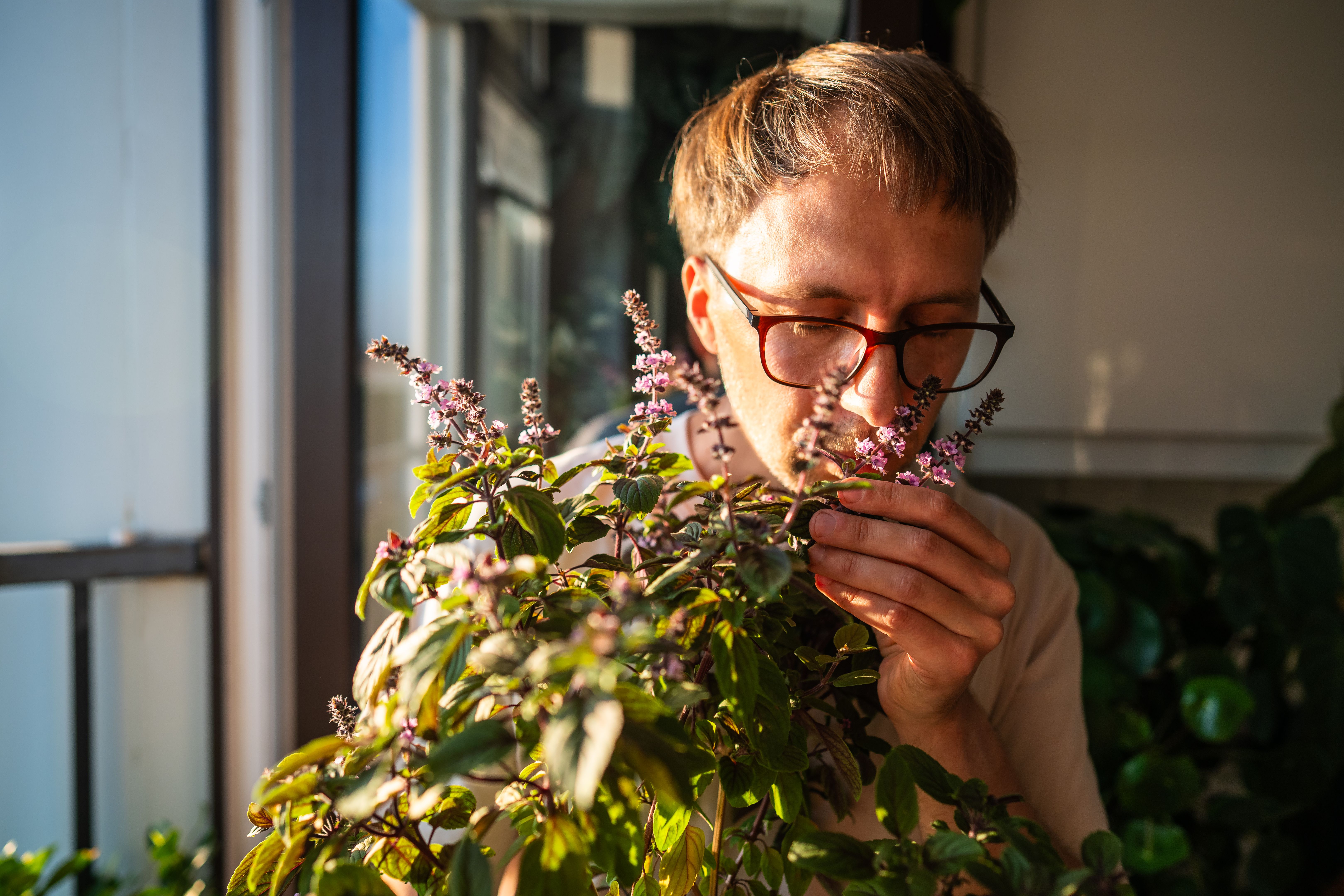 sustainable fragrance