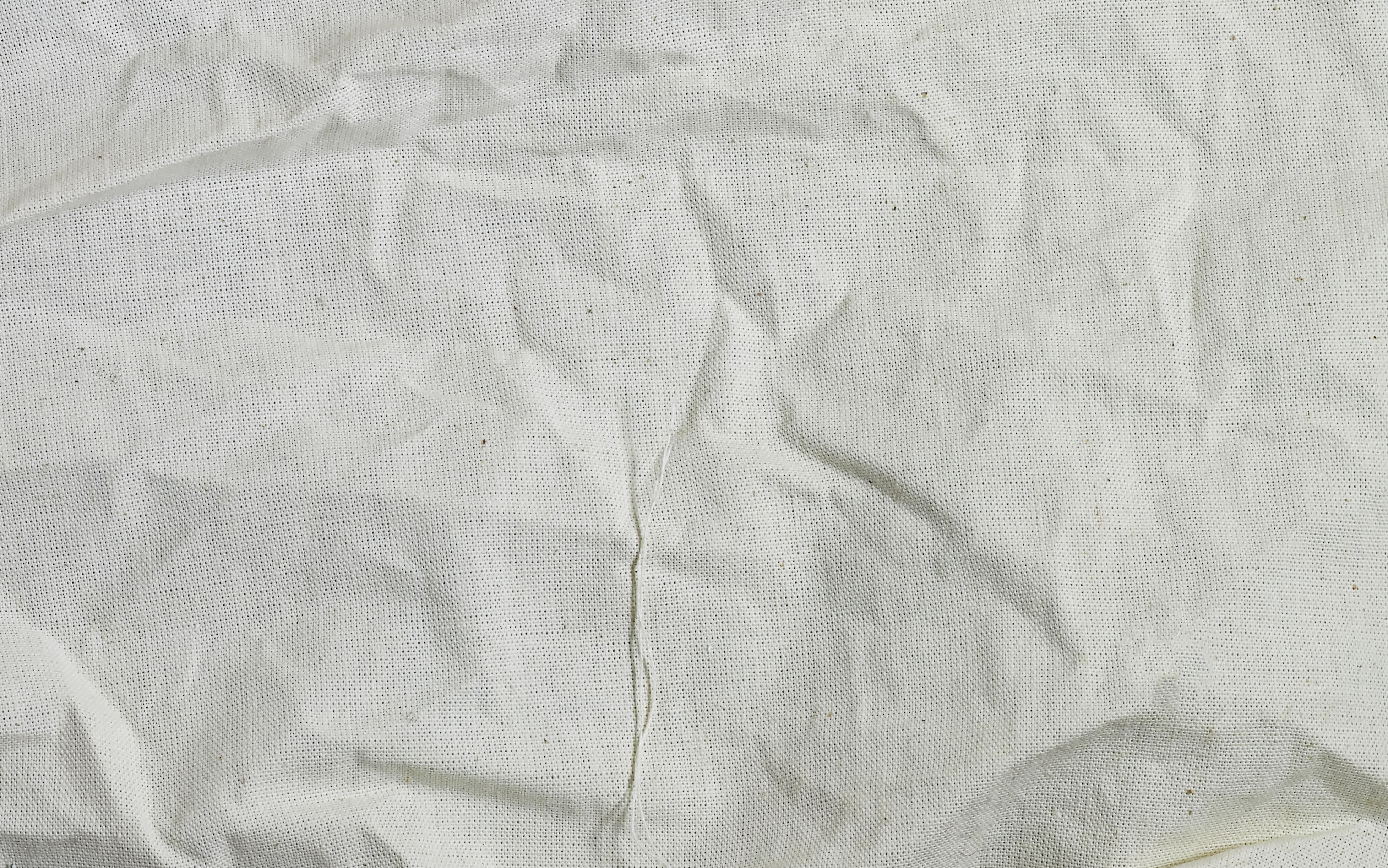 canva graphic design