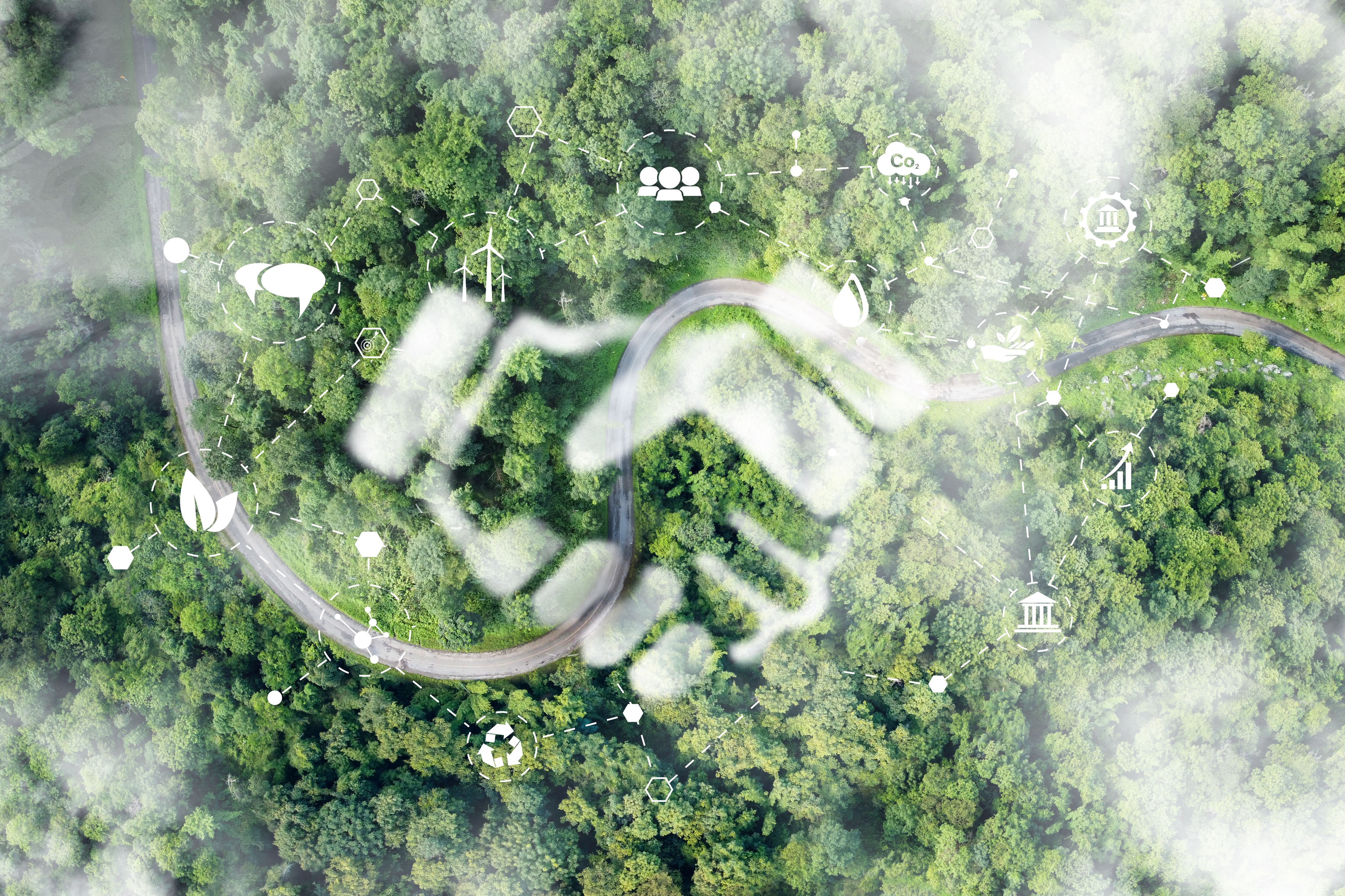 sustainability efforts