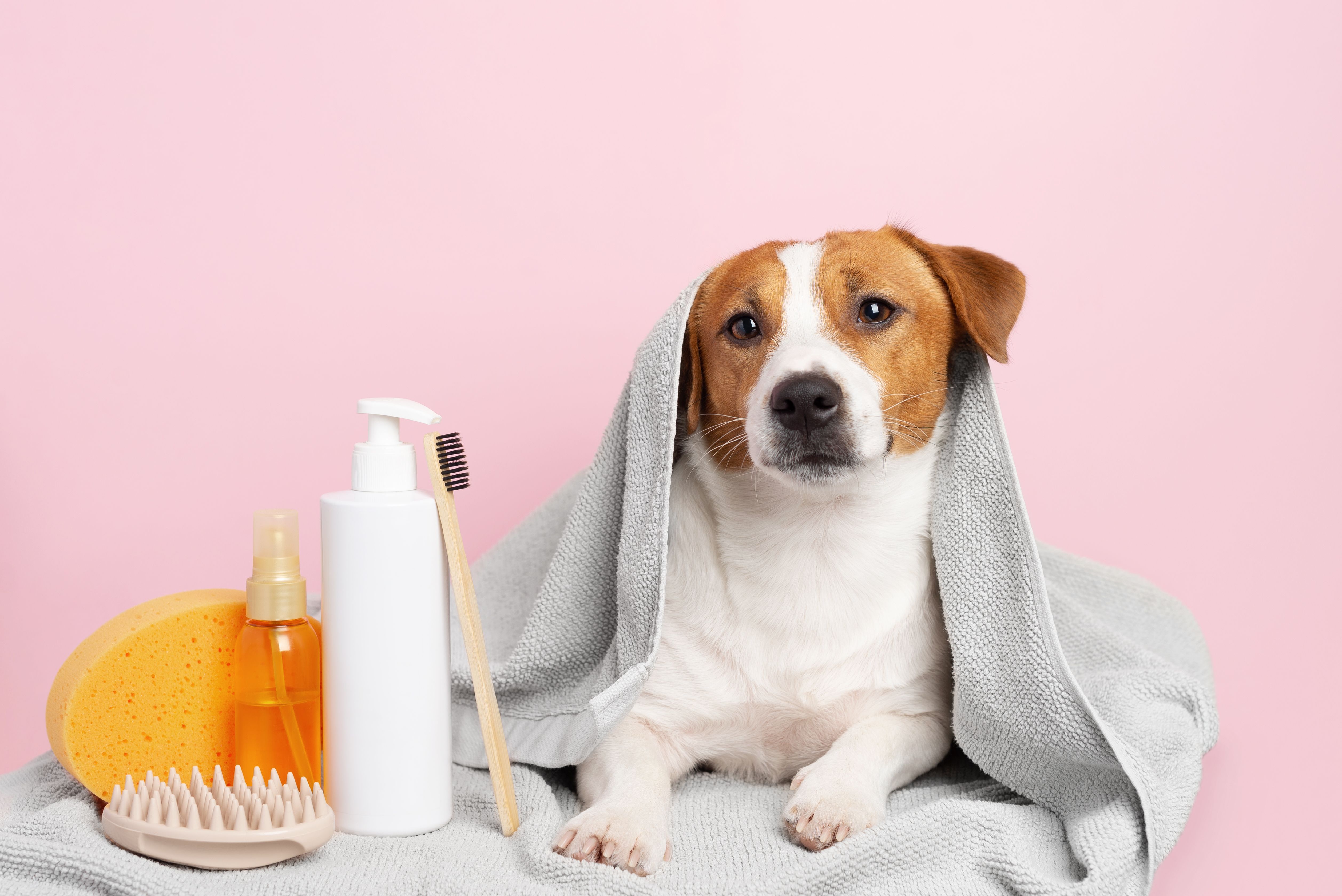 natural pet grooming products