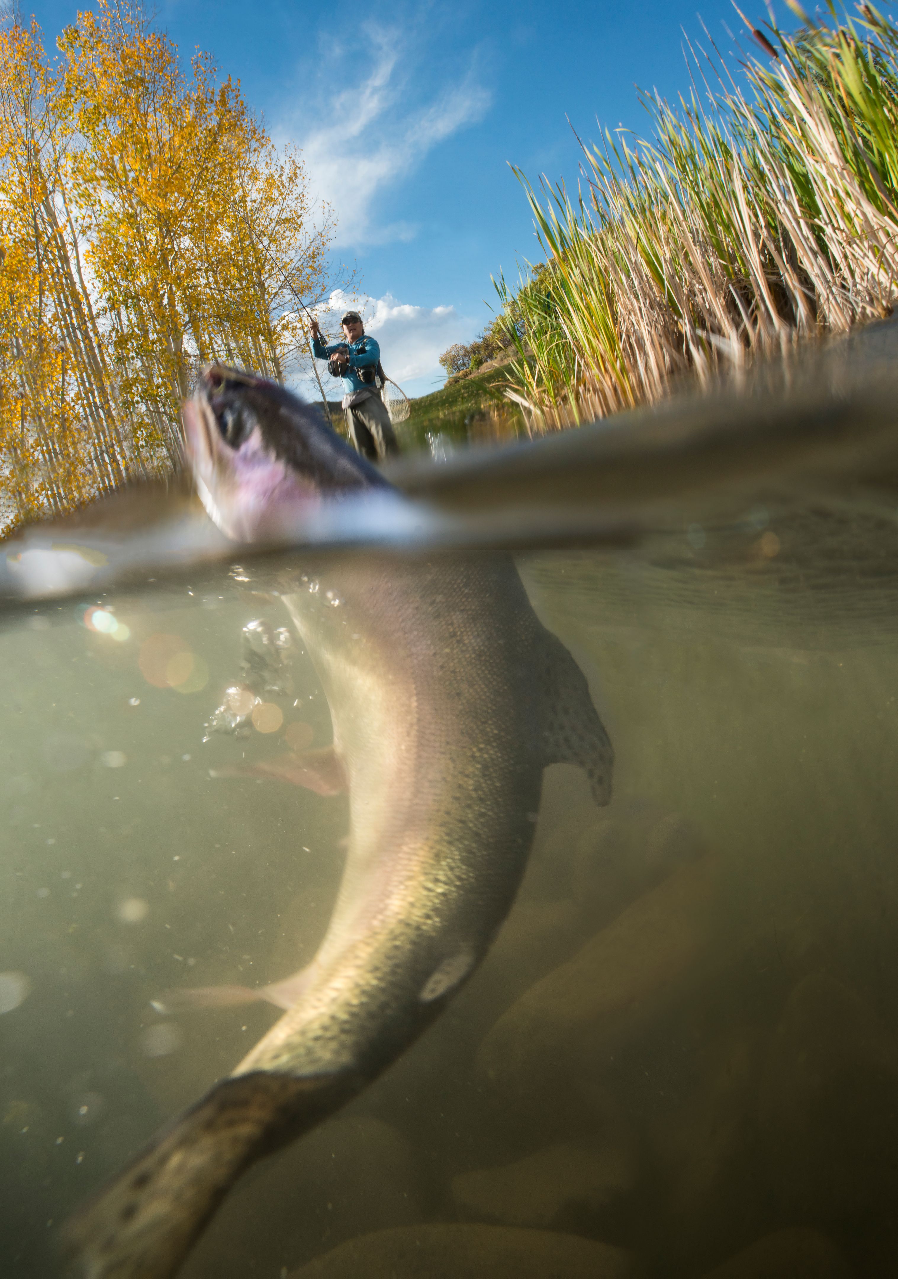 outdoor adventure colorado