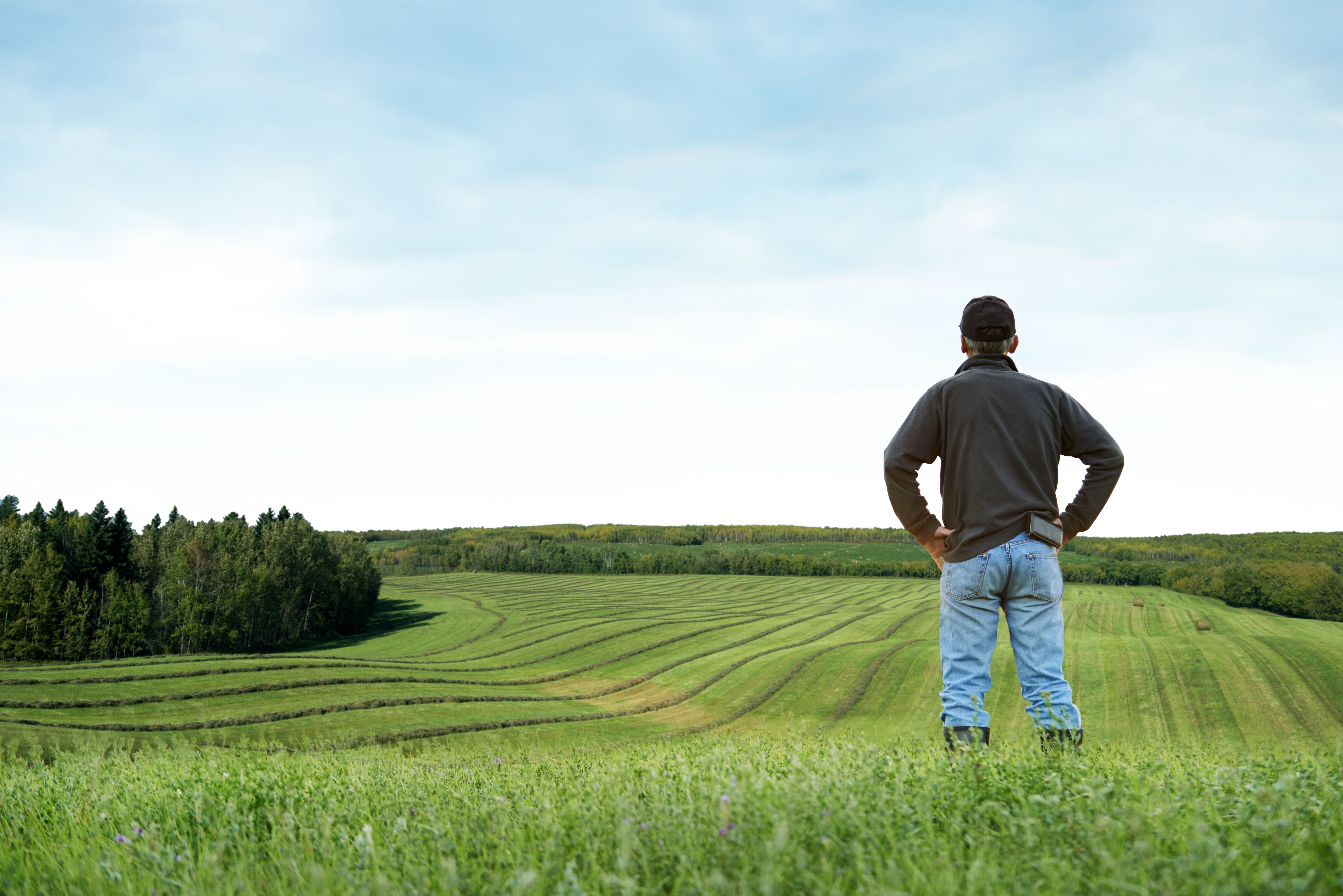 sustainable farming