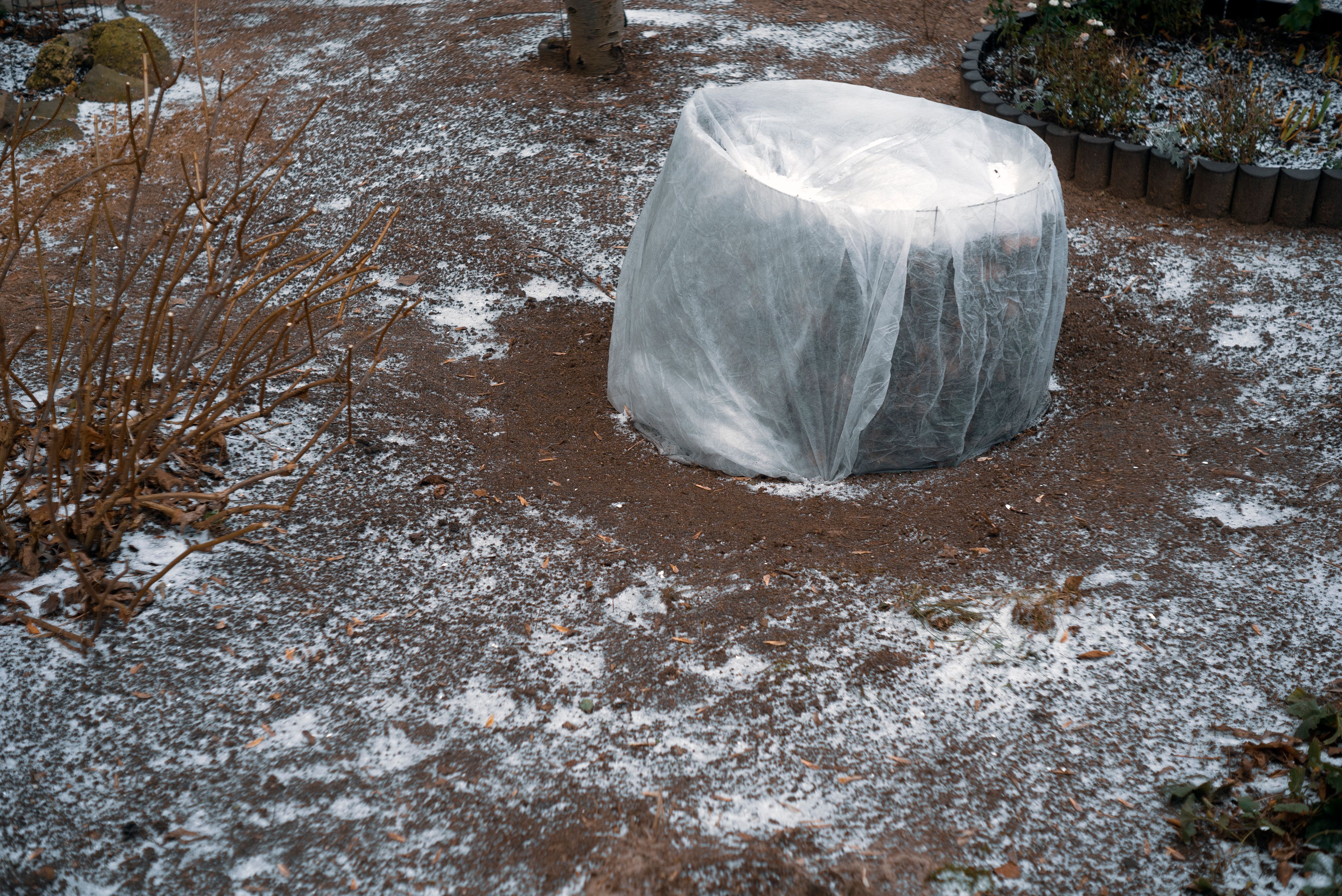 winter plant protection