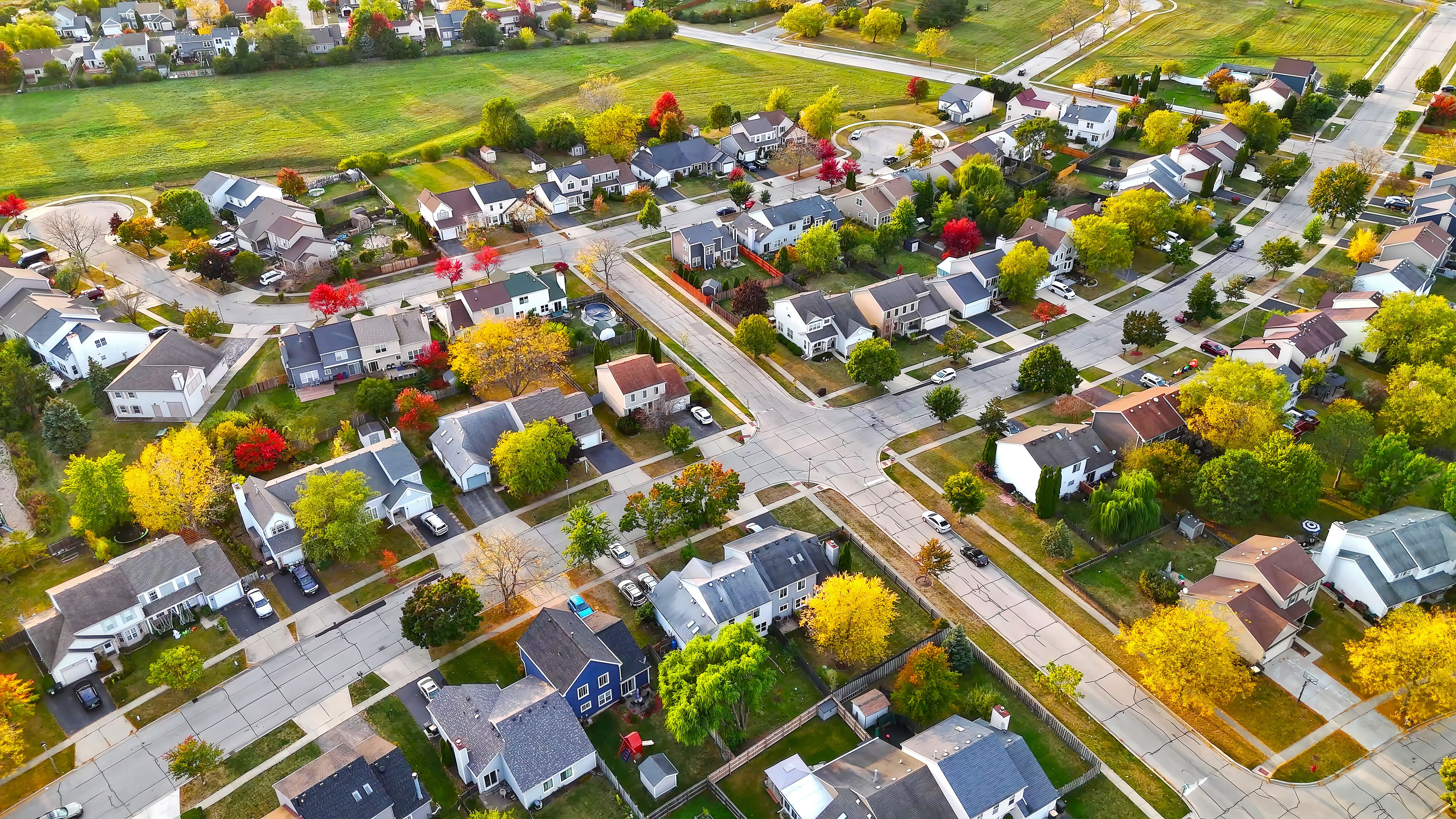 neighborhood streetscape