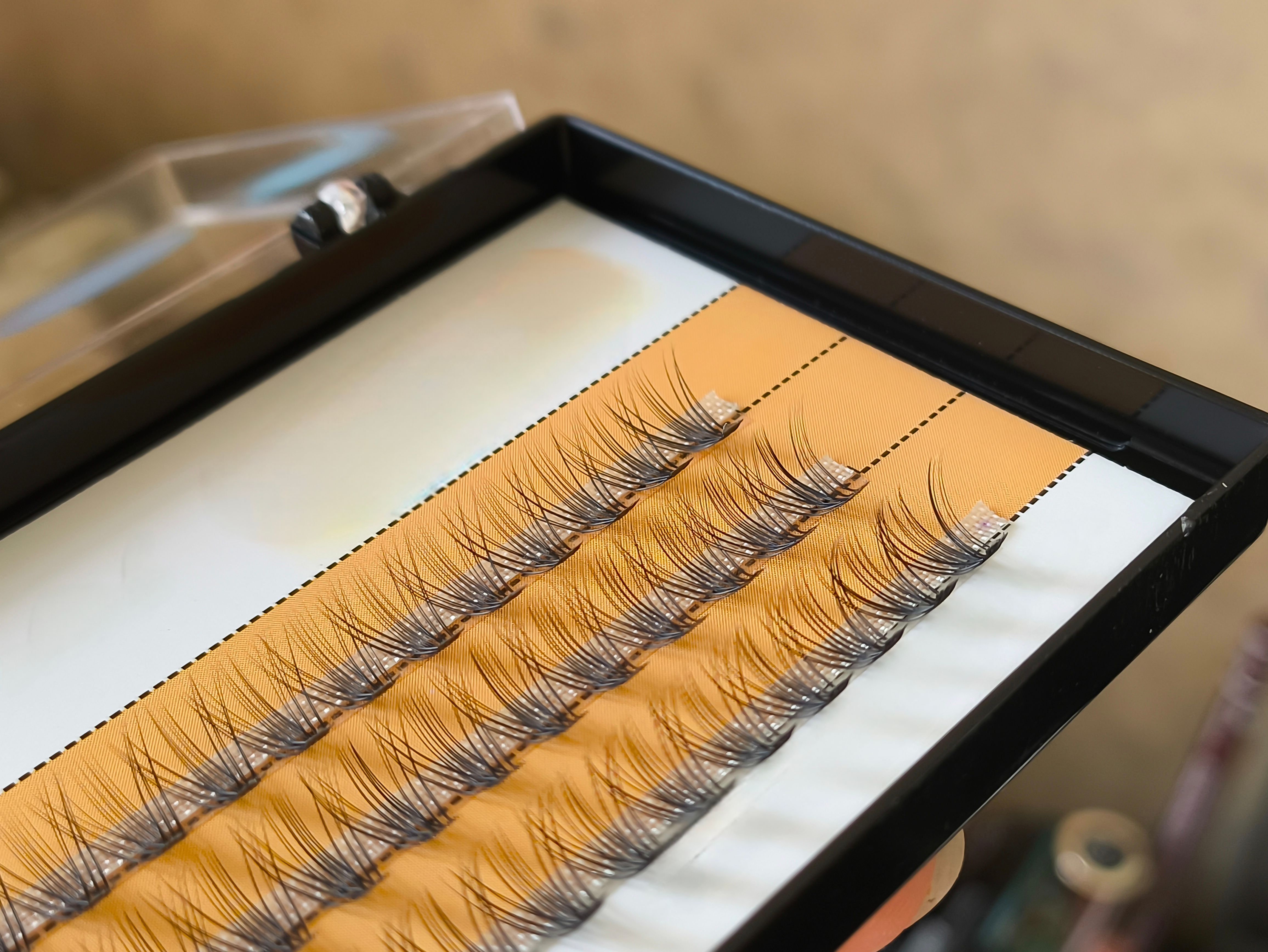 everyday lash extensions