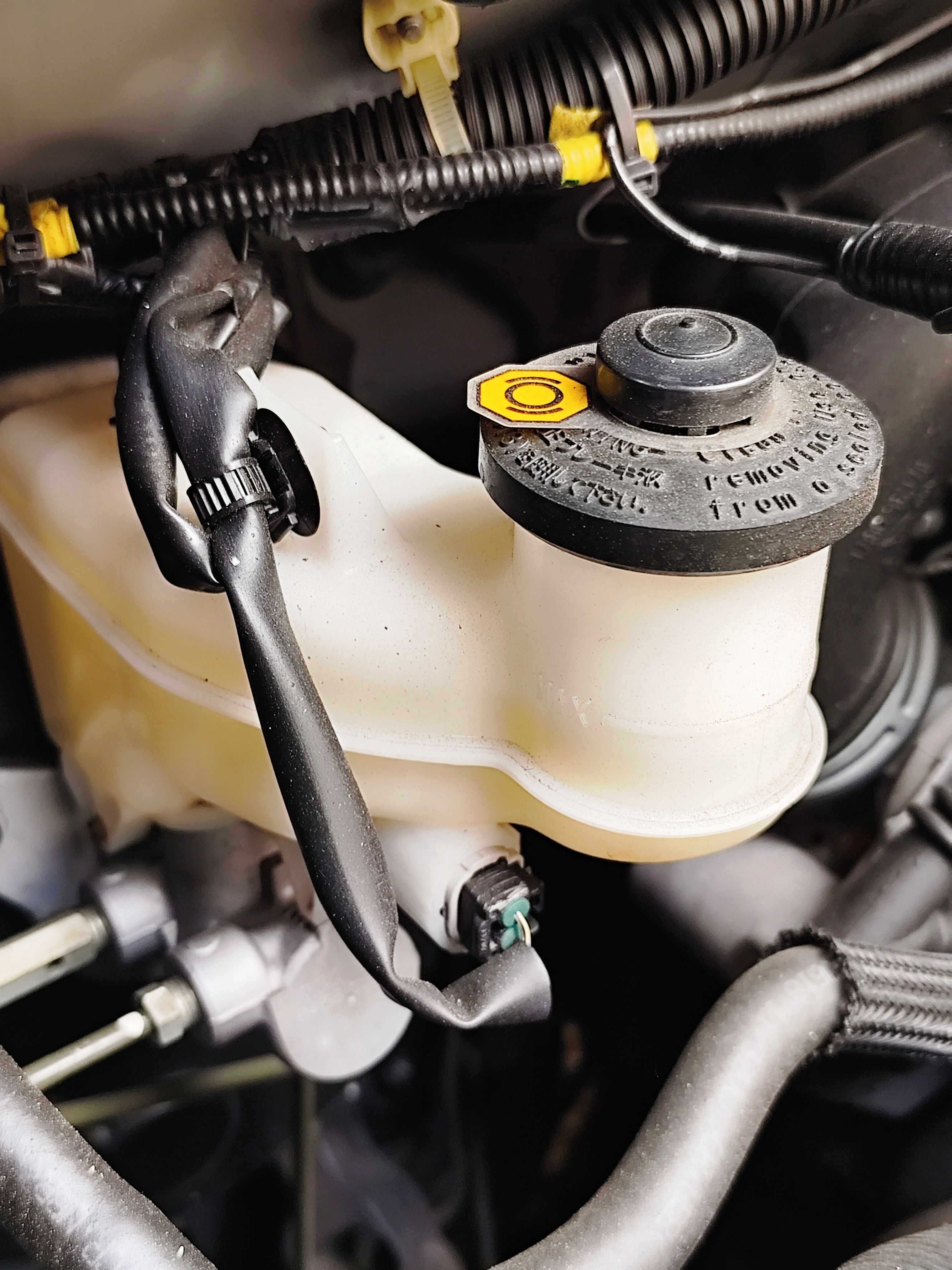 car fluid check