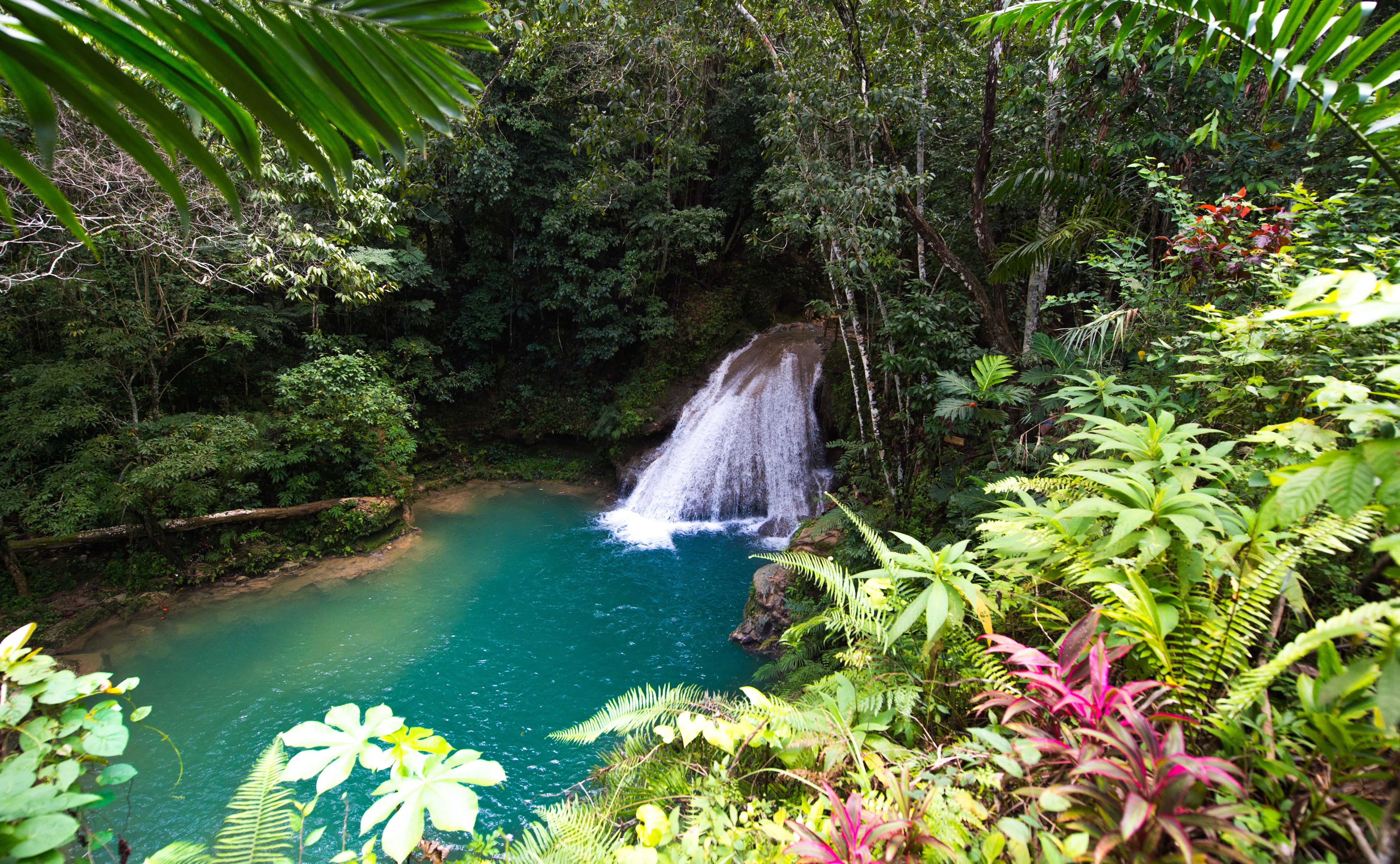 jamaican waterfall