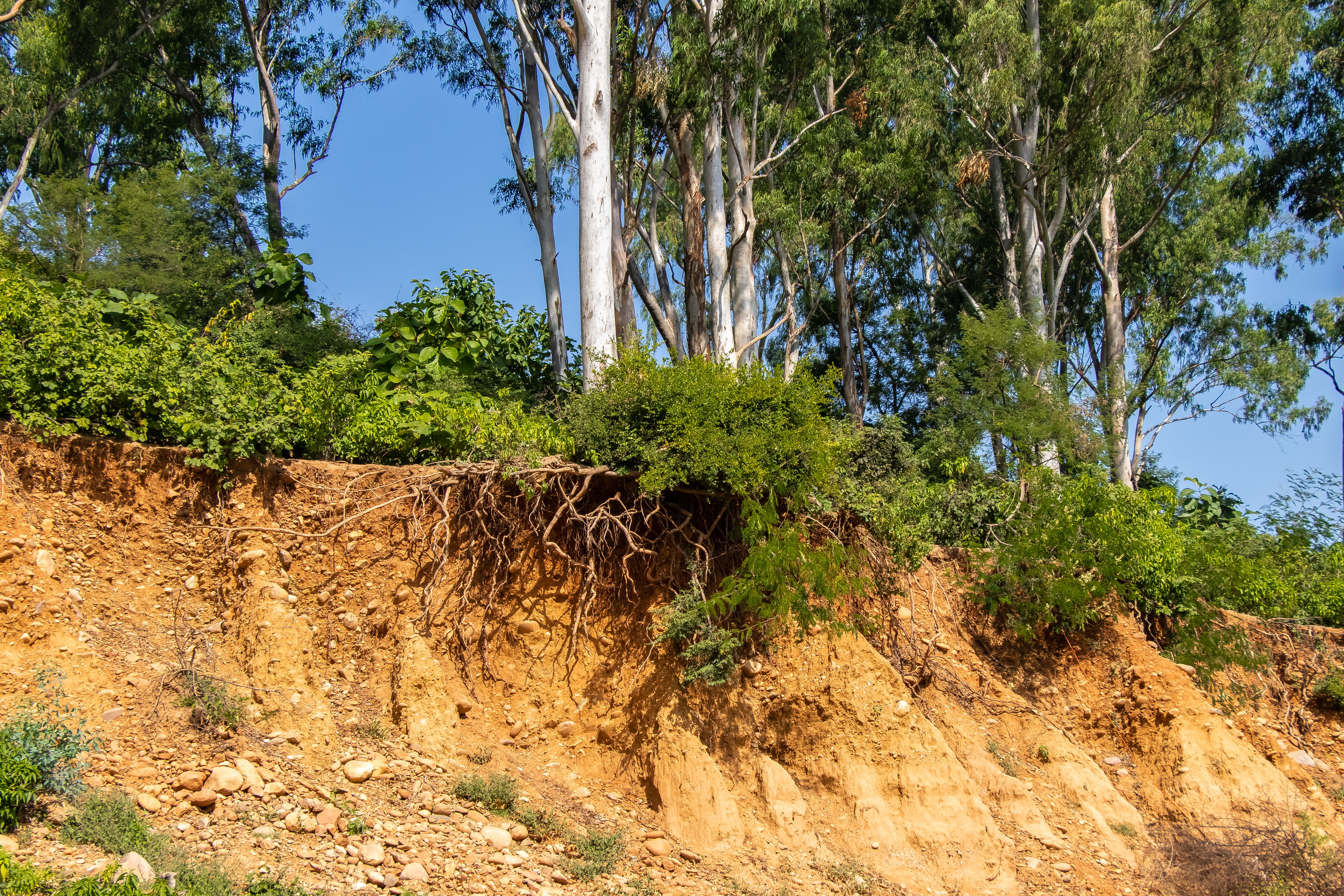 soil erosion prevention