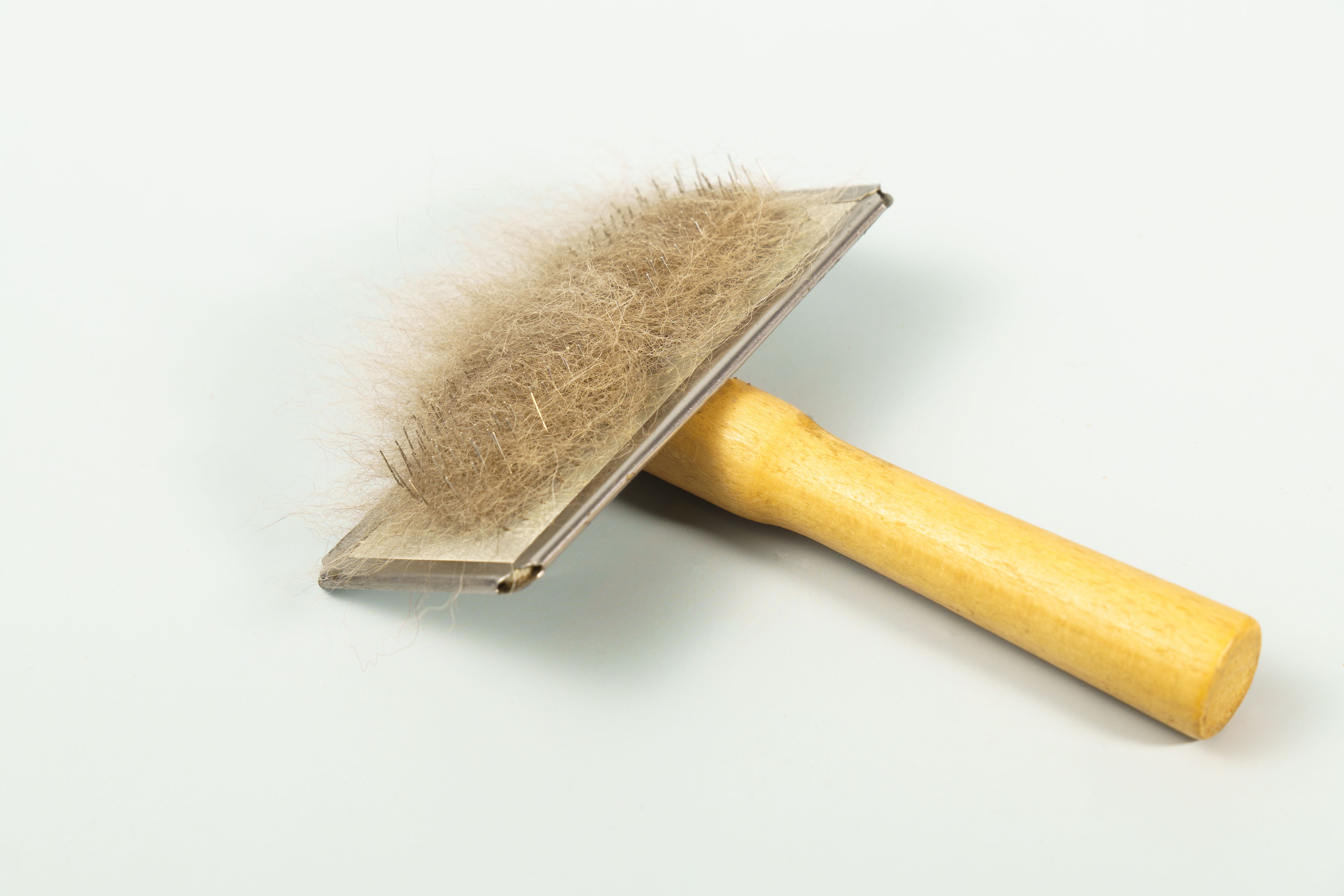 eco-friendly pet grooming