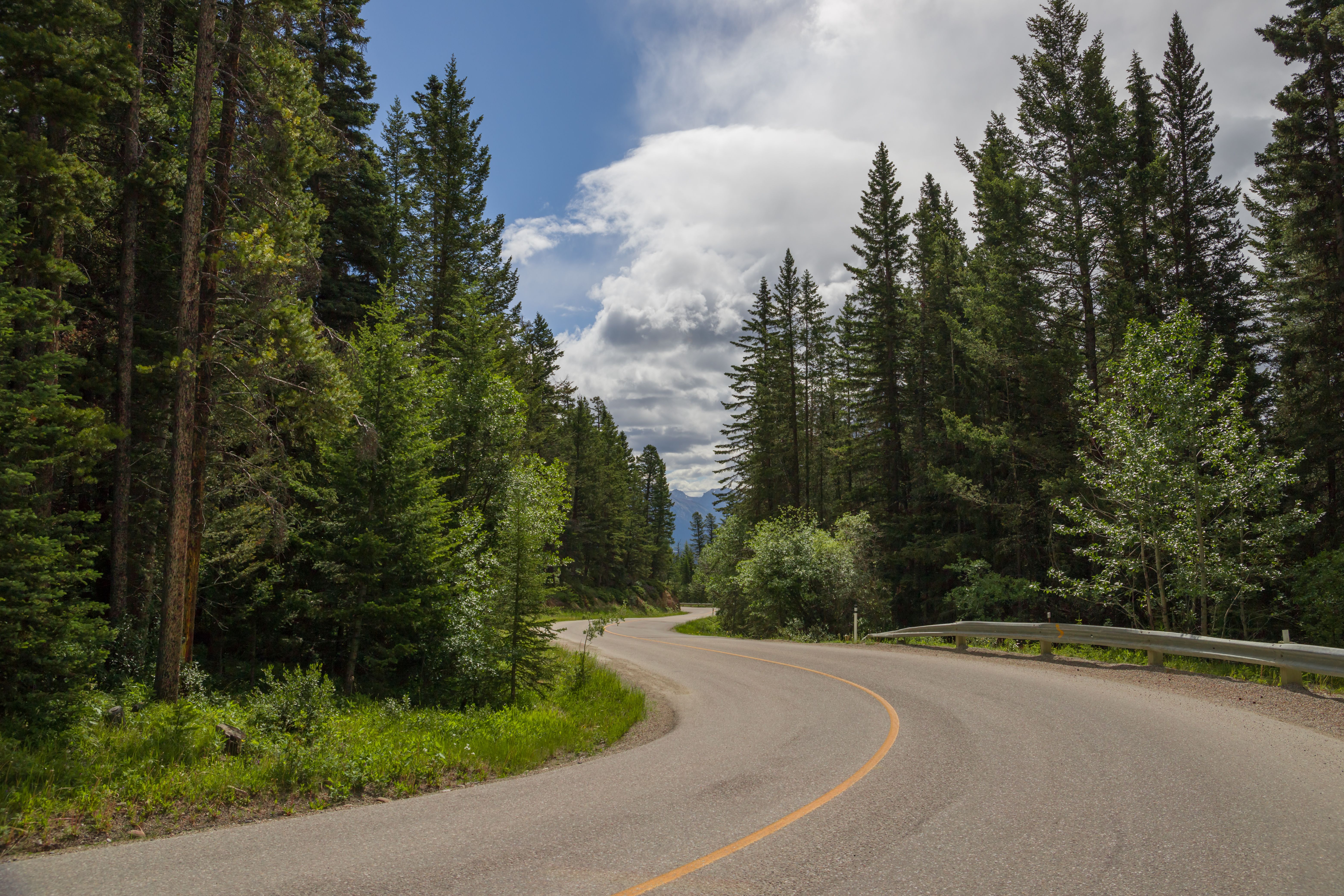 Scenic empty winding road along the forest in Banff National Park