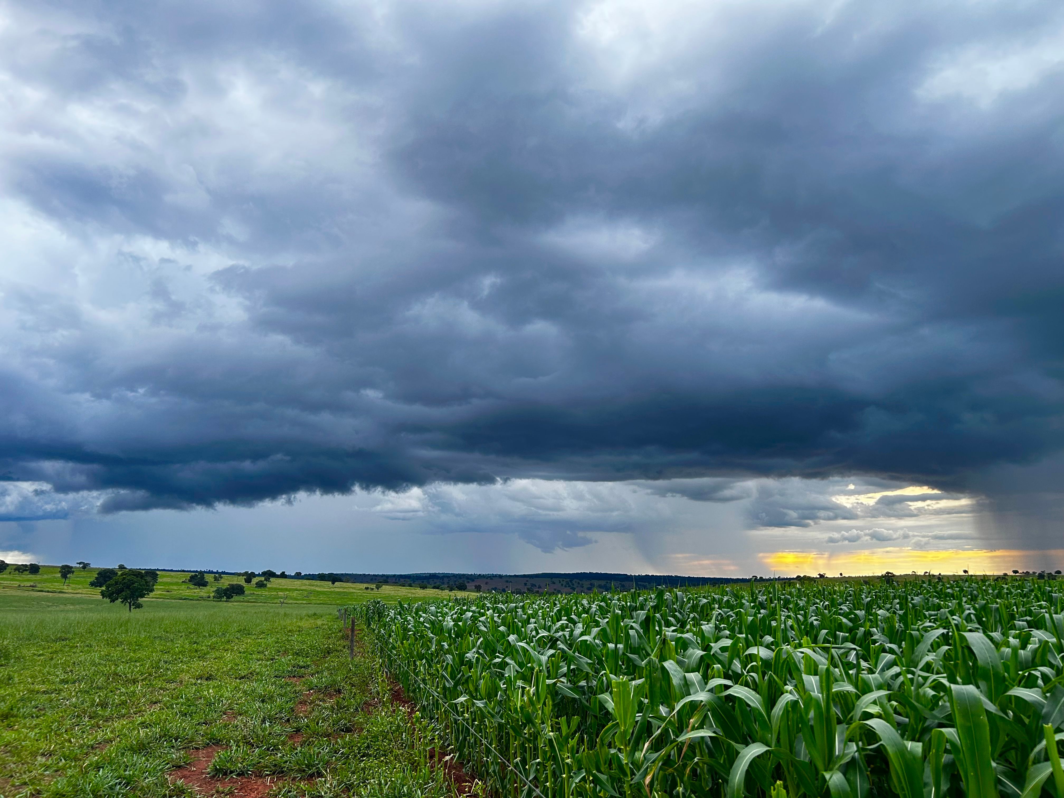 rainwater harvesting