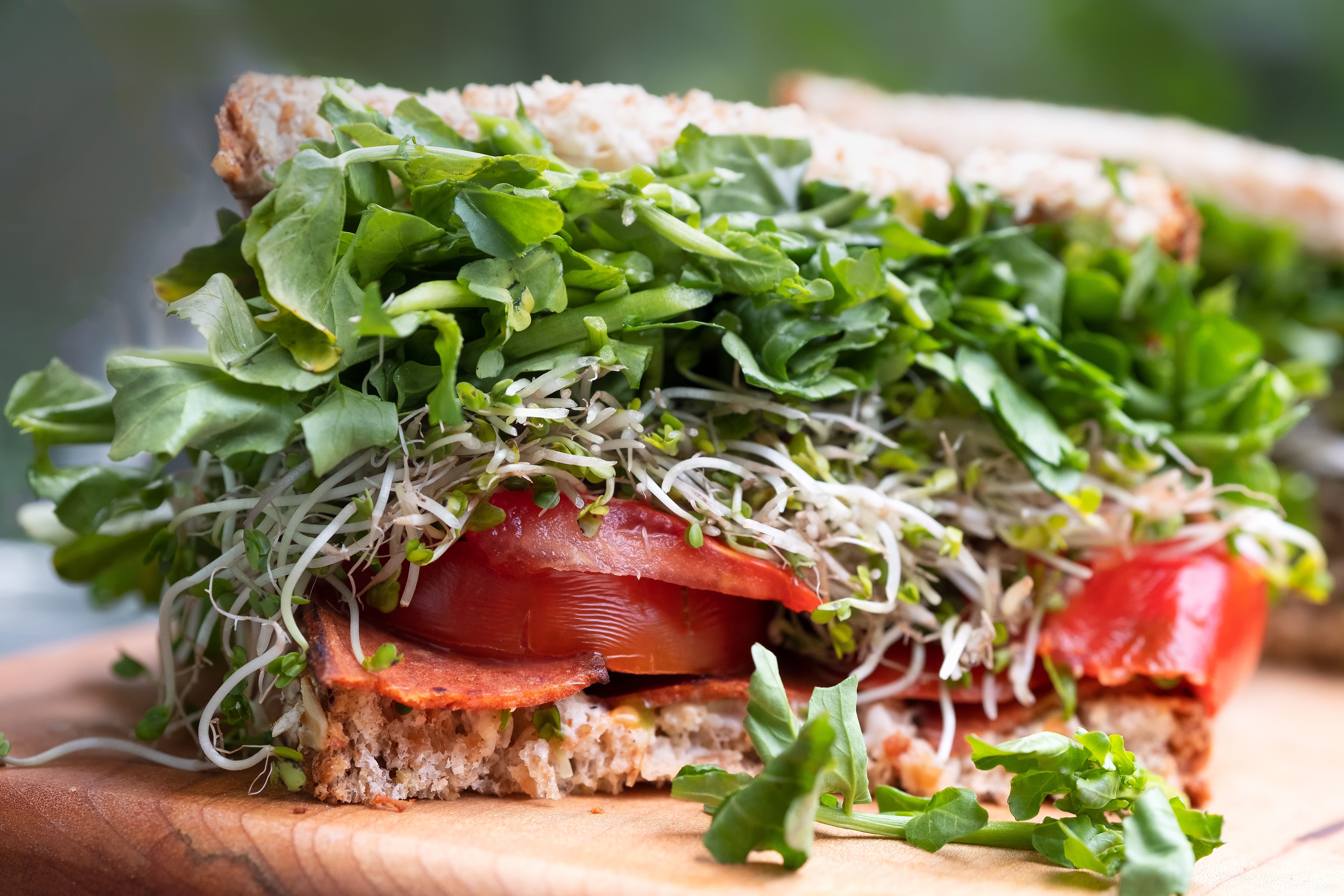 vegan sandwich