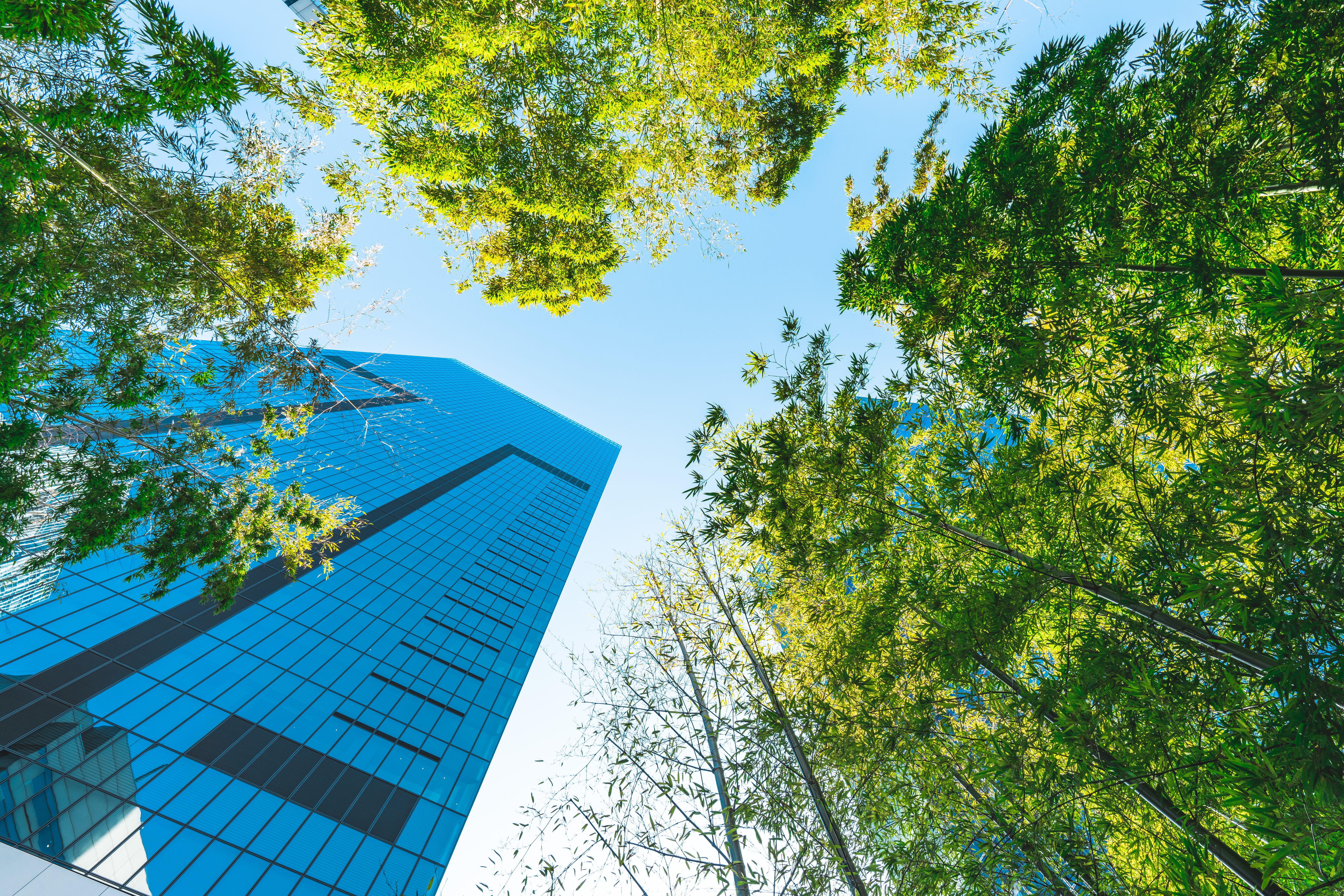 sustainable design